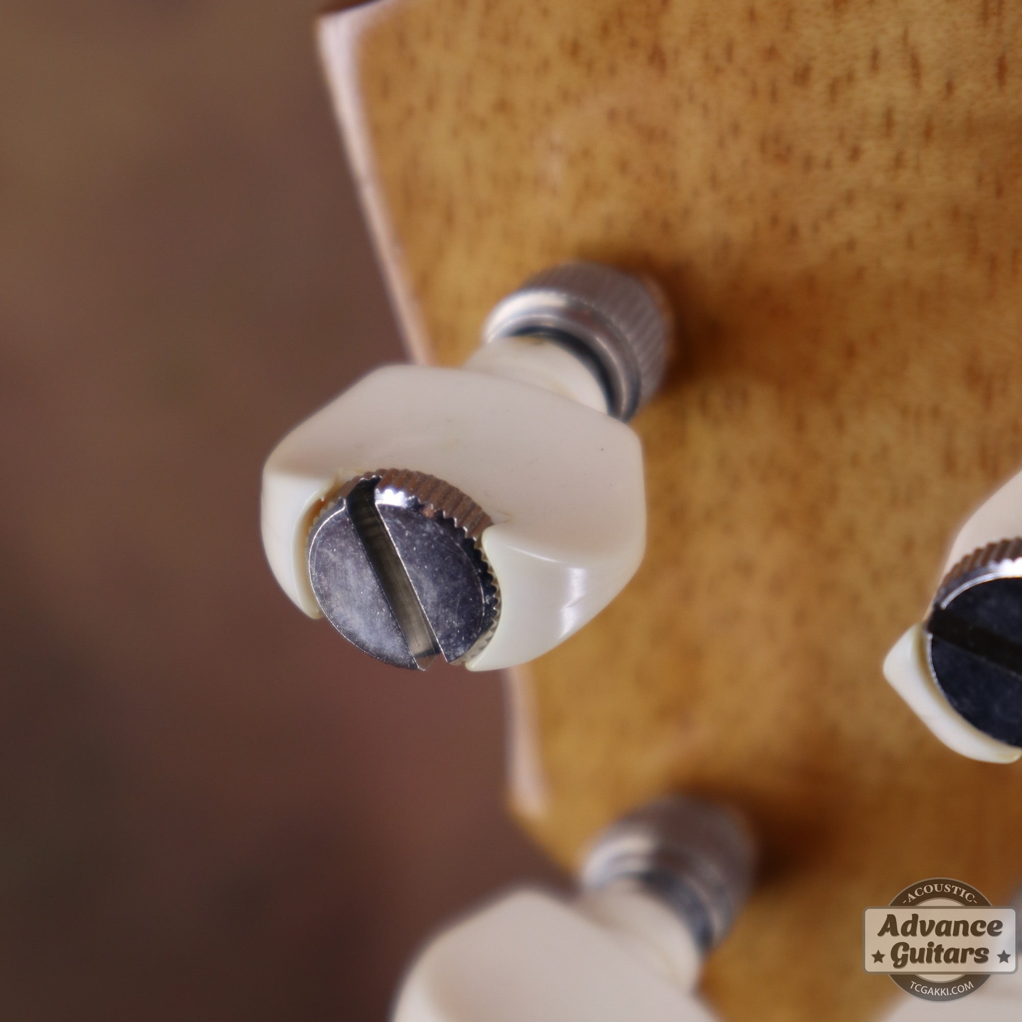 1998年製 Concert Ukulele - TC楽器 - TCGAKKI