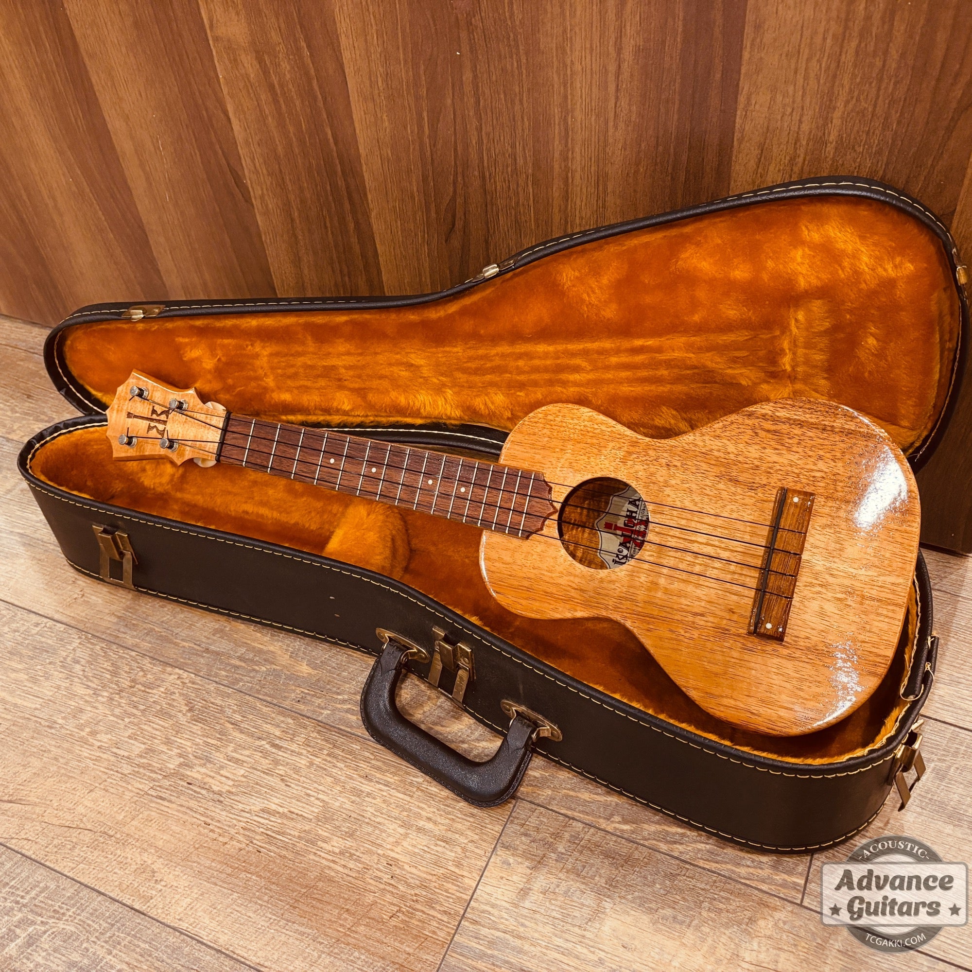 1998年製 Concert Ukulele - TC楽器 - TCGAKKI