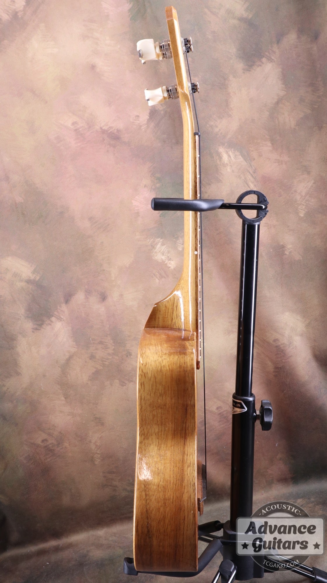 1998年製 Concert Ukulele - TC楽器 - TCGAKKI