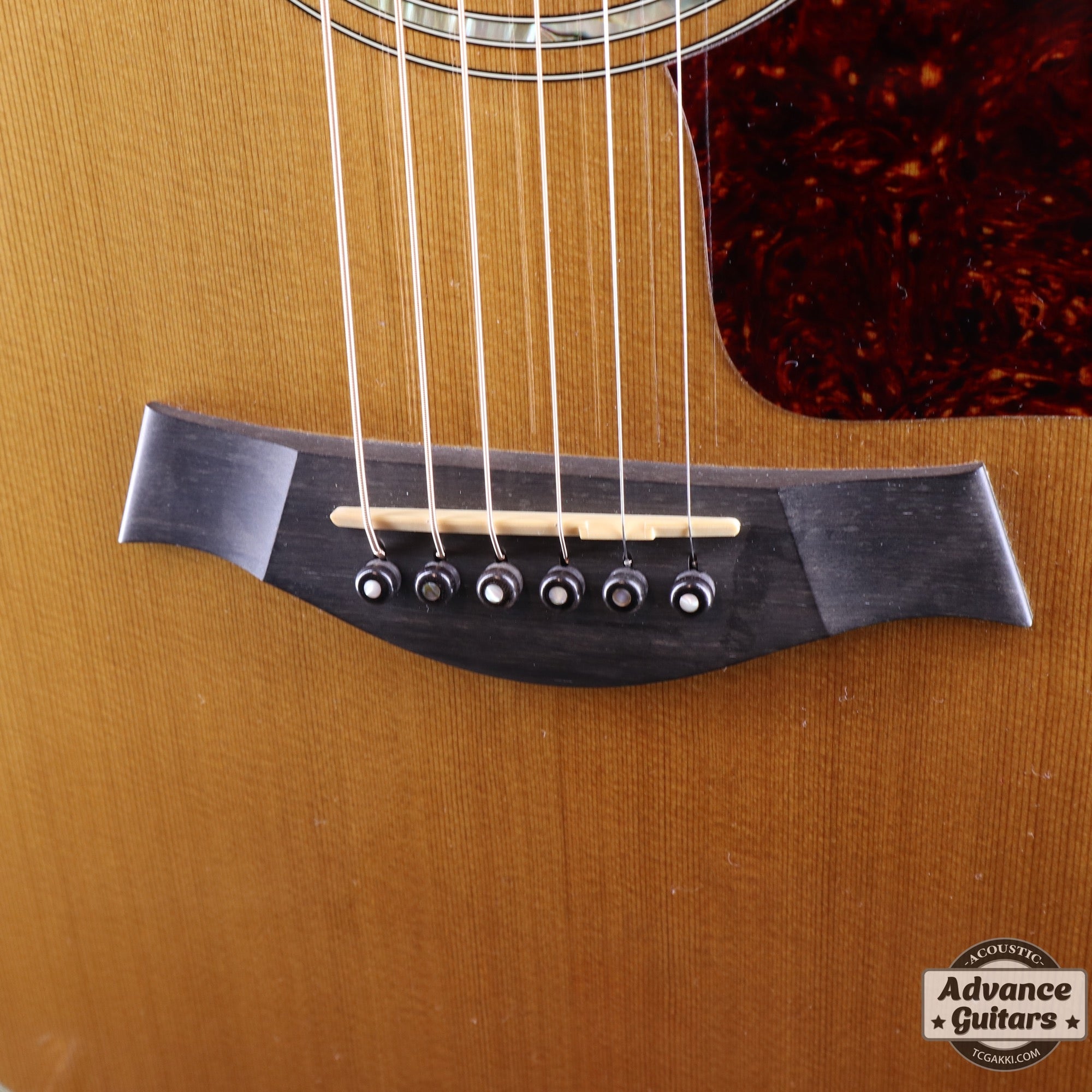 1999年製 712 - TC楽器 - TCGAKKI