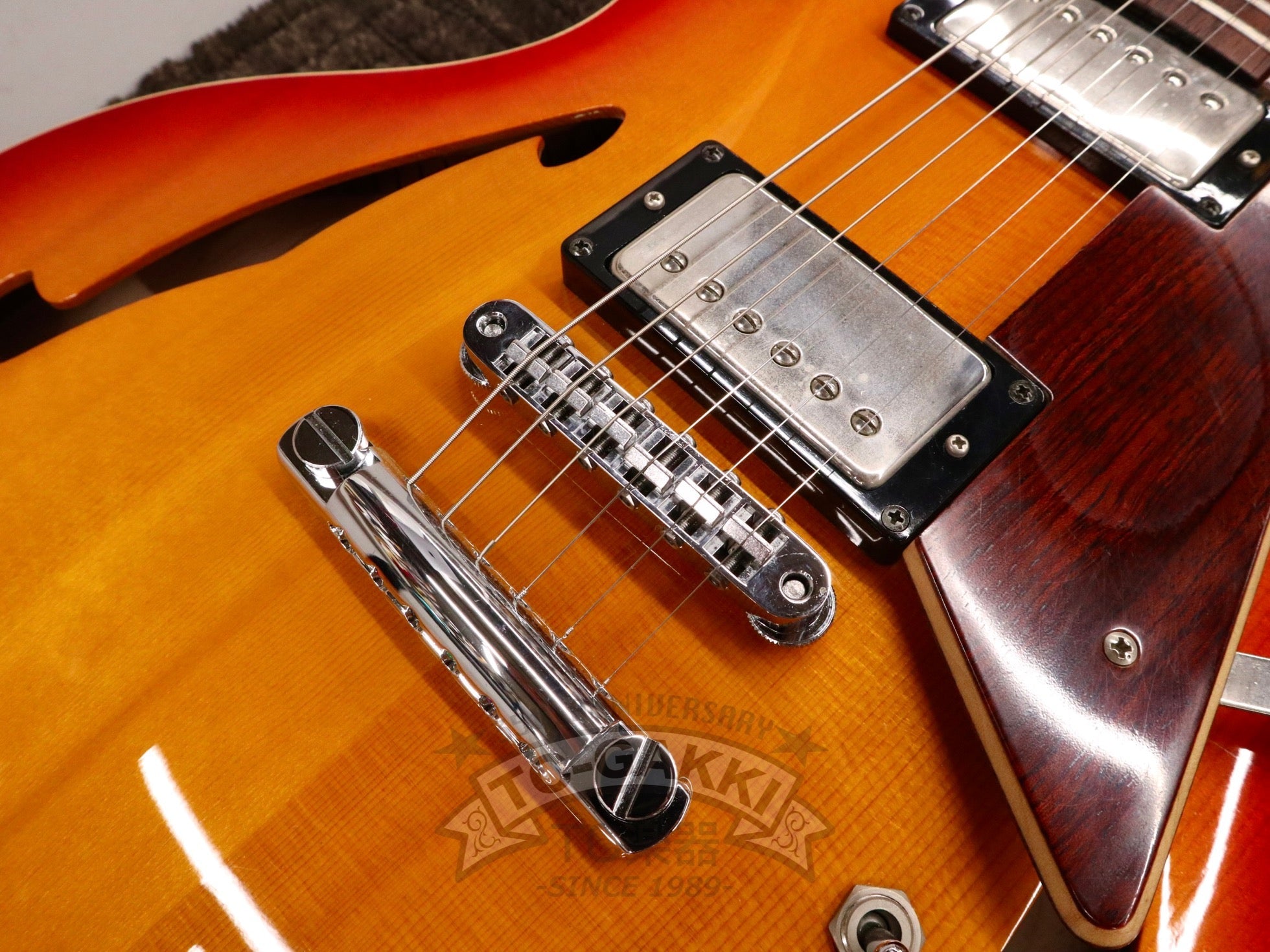 2000s AXM Standard - TC楽器 - TCGAKKI