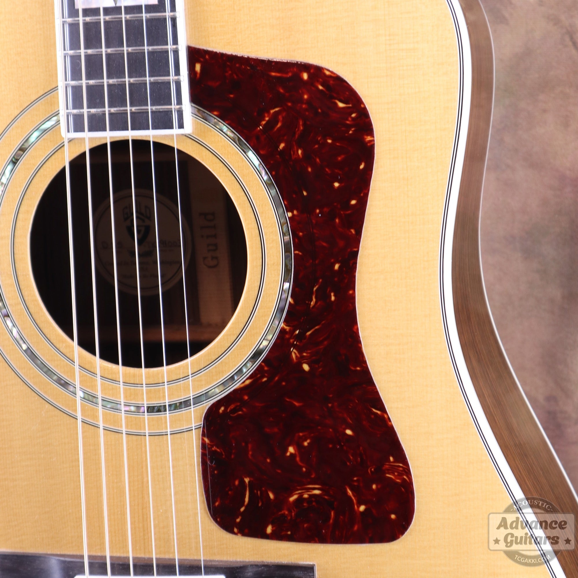 2000's D - 55 - TC楽器 - TCGAKKI