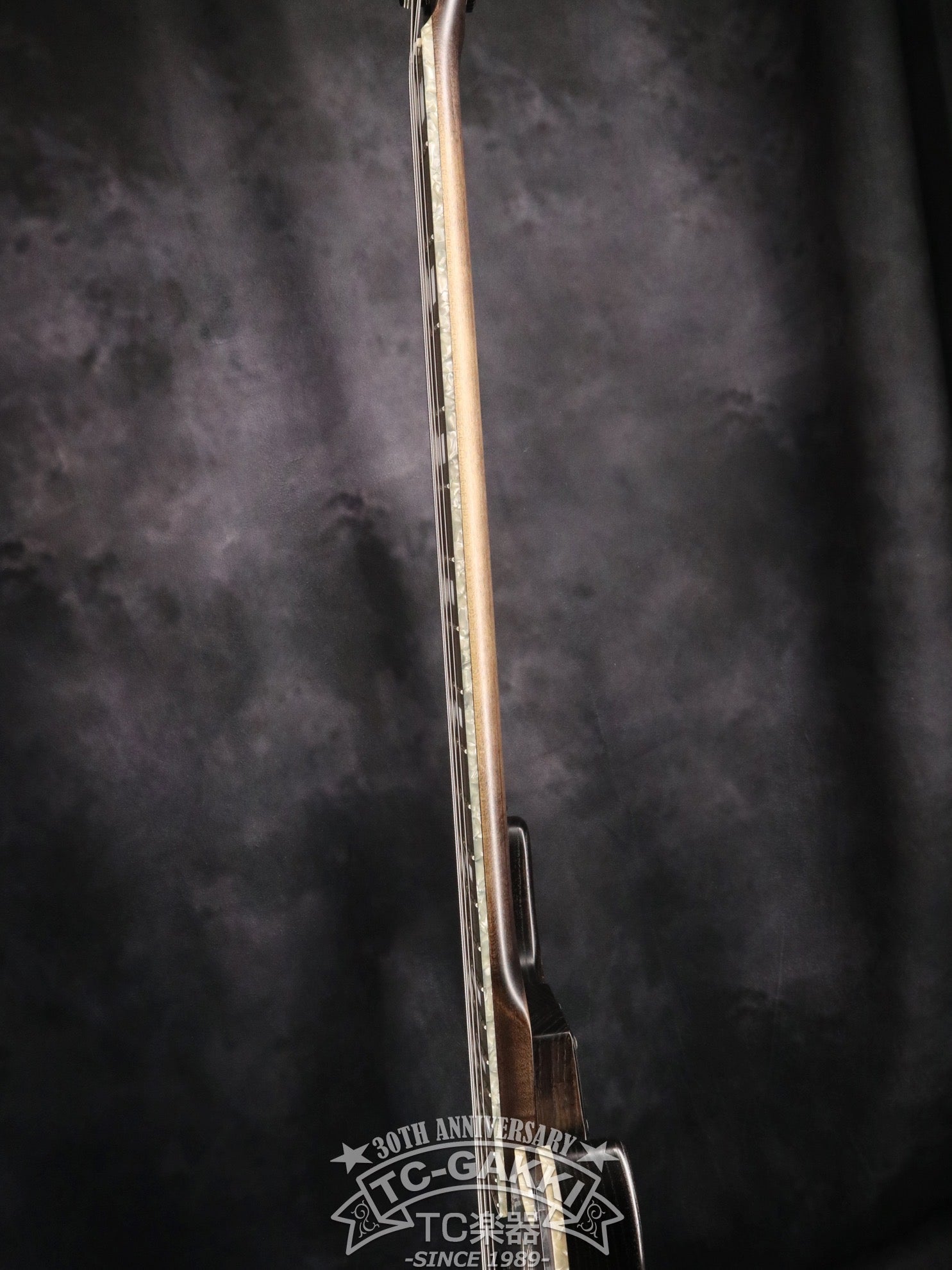 2000s Woodline STANDARD ASH - TC楽器 - TCGAKKI