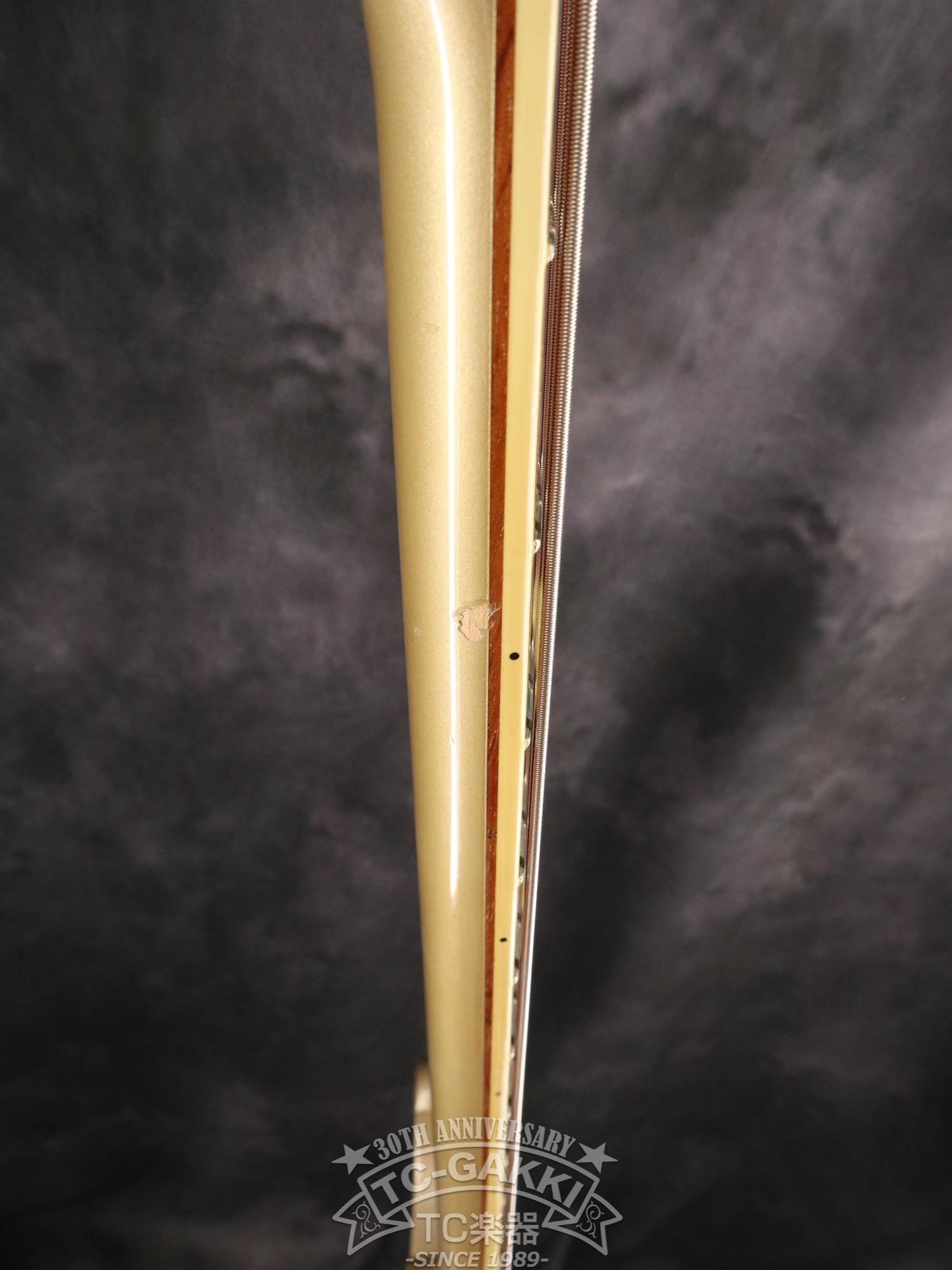 2001 4003 - TC楽器 - TCGAKKI