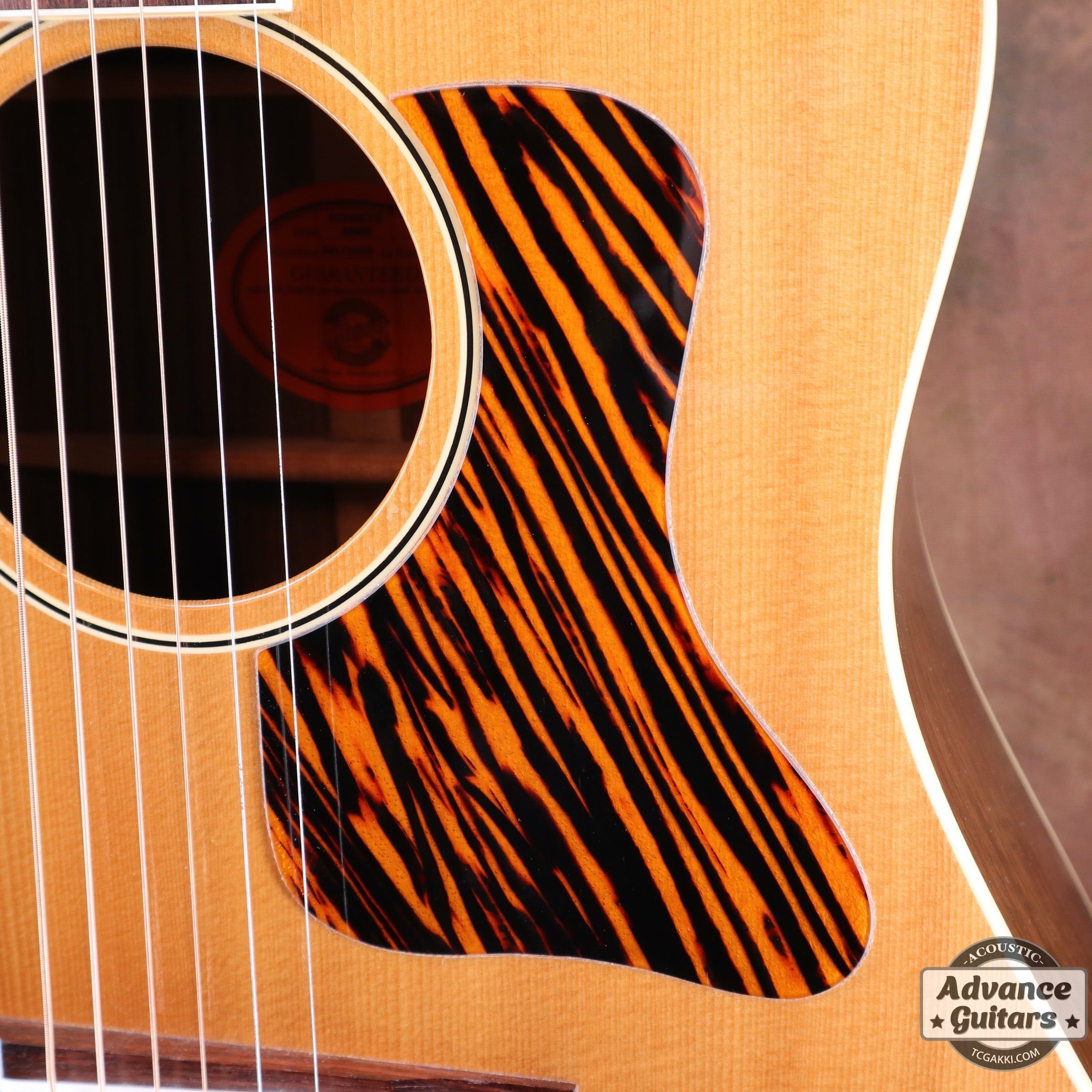 2002年製 Advanced Jumbo