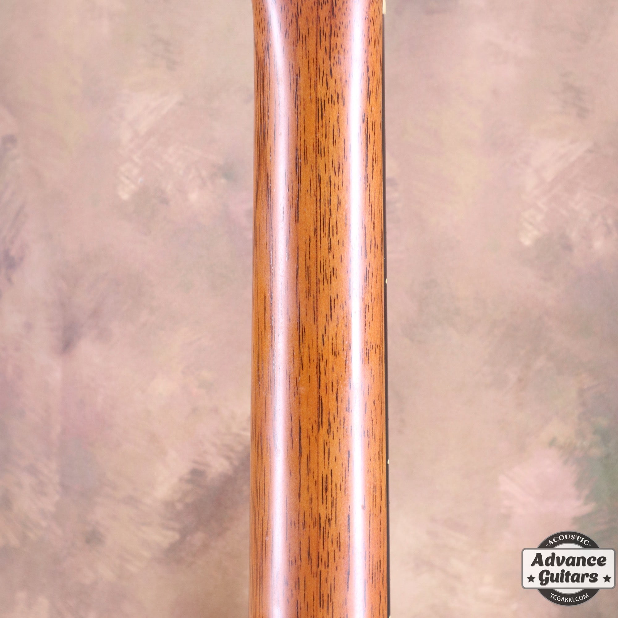 2002年製 D - 16GT - TC楽器 - TCGAKKI