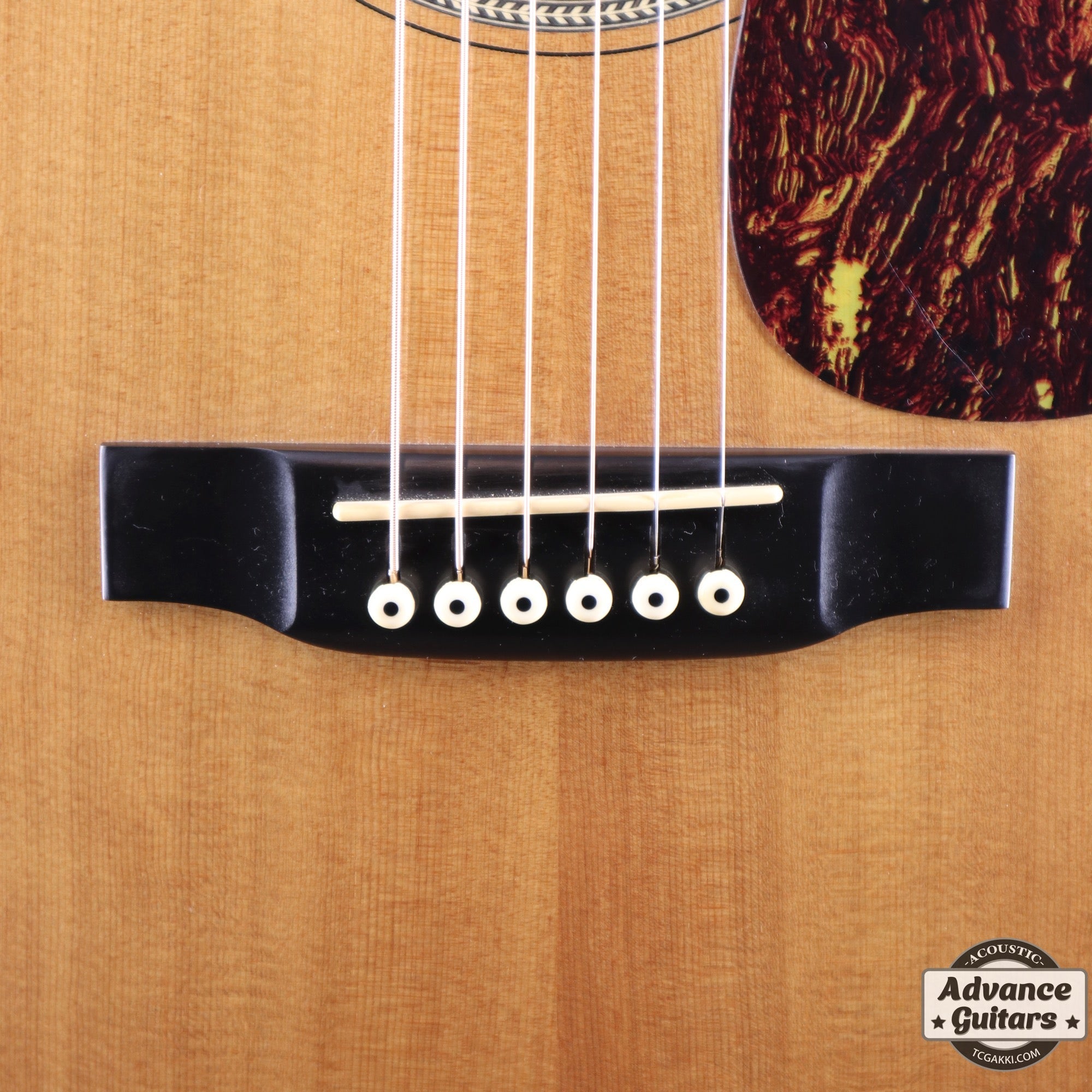 2002年製 D - 16GT - TC楽器 - TCGAKKI