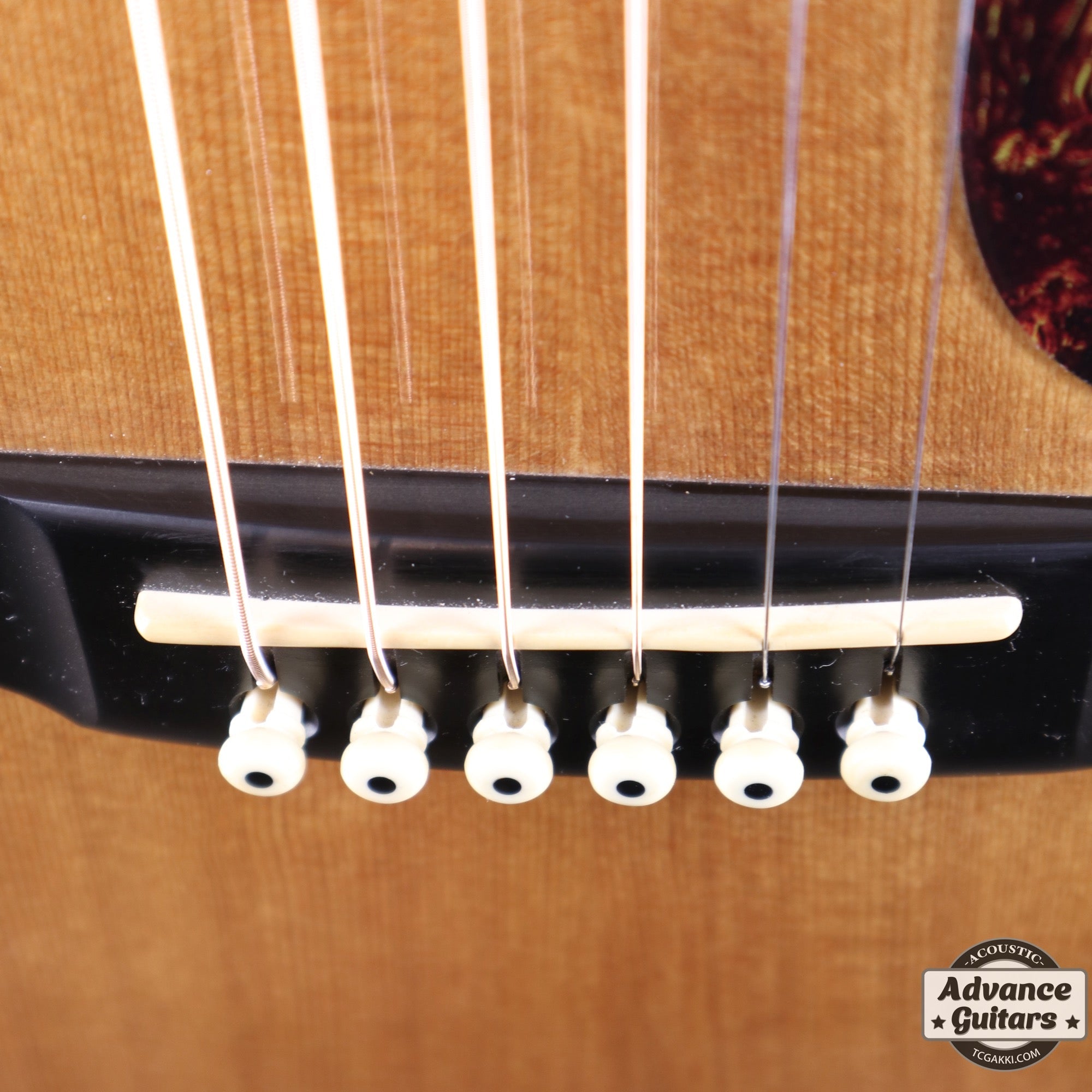 2002年製 D - 16GT - TC楽器 - TCGAKKI