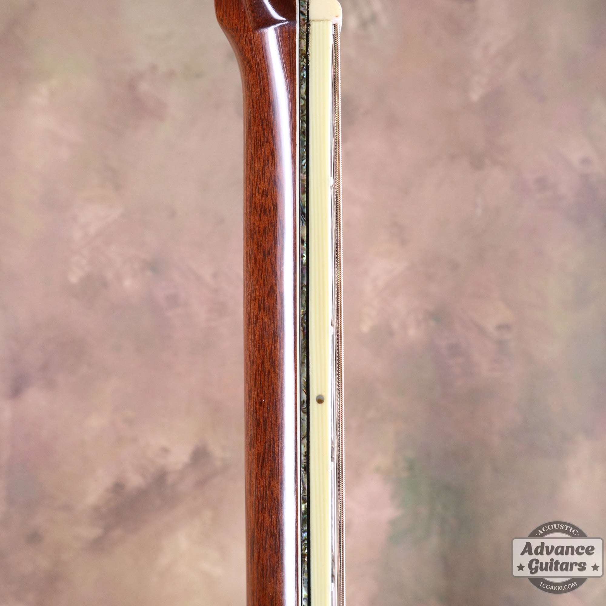 2002年製 D - 50 Deluxe - TC楽器 - TCGAKKI