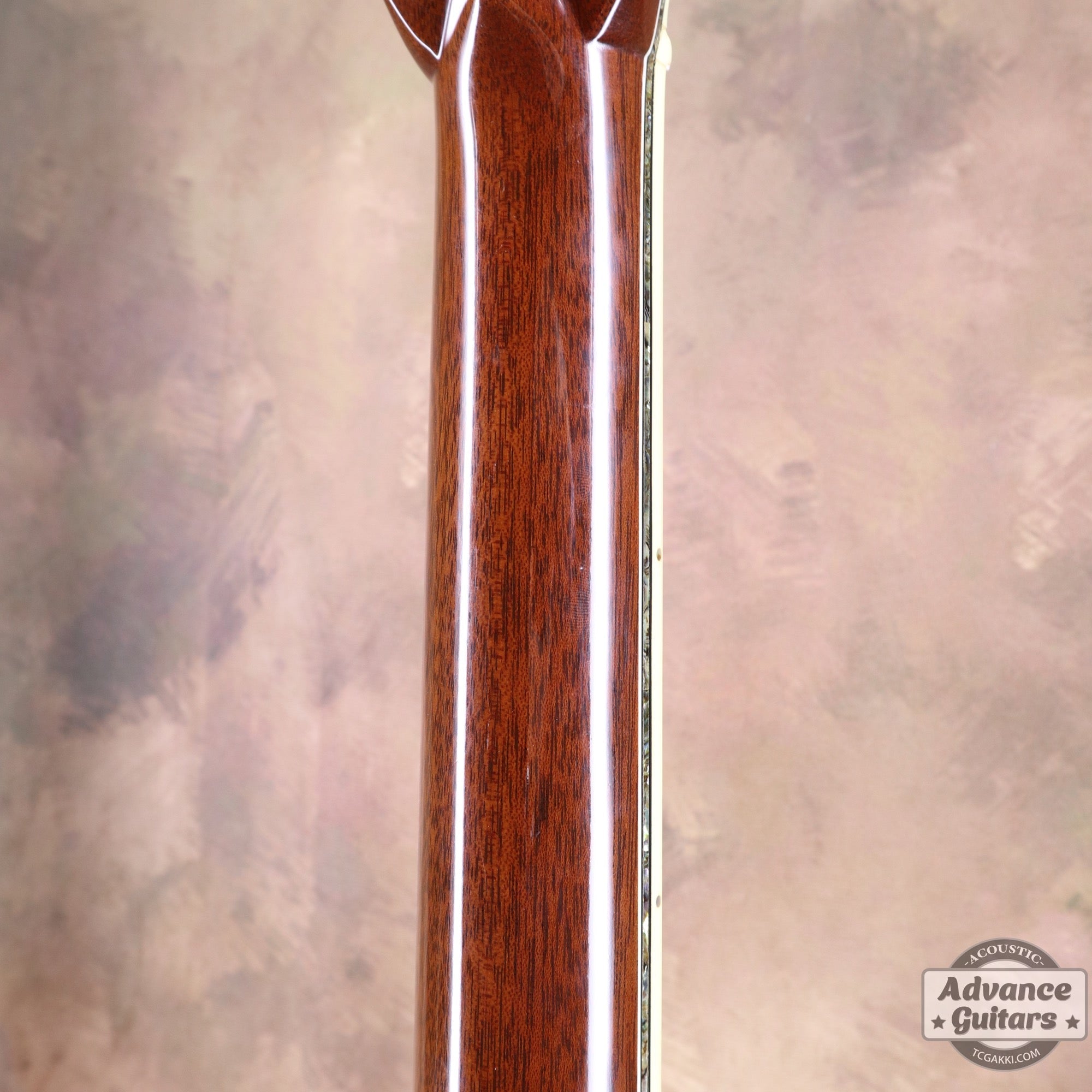 2002年製 D - 50 Deluxe - TC楽器 - TCGAKKI