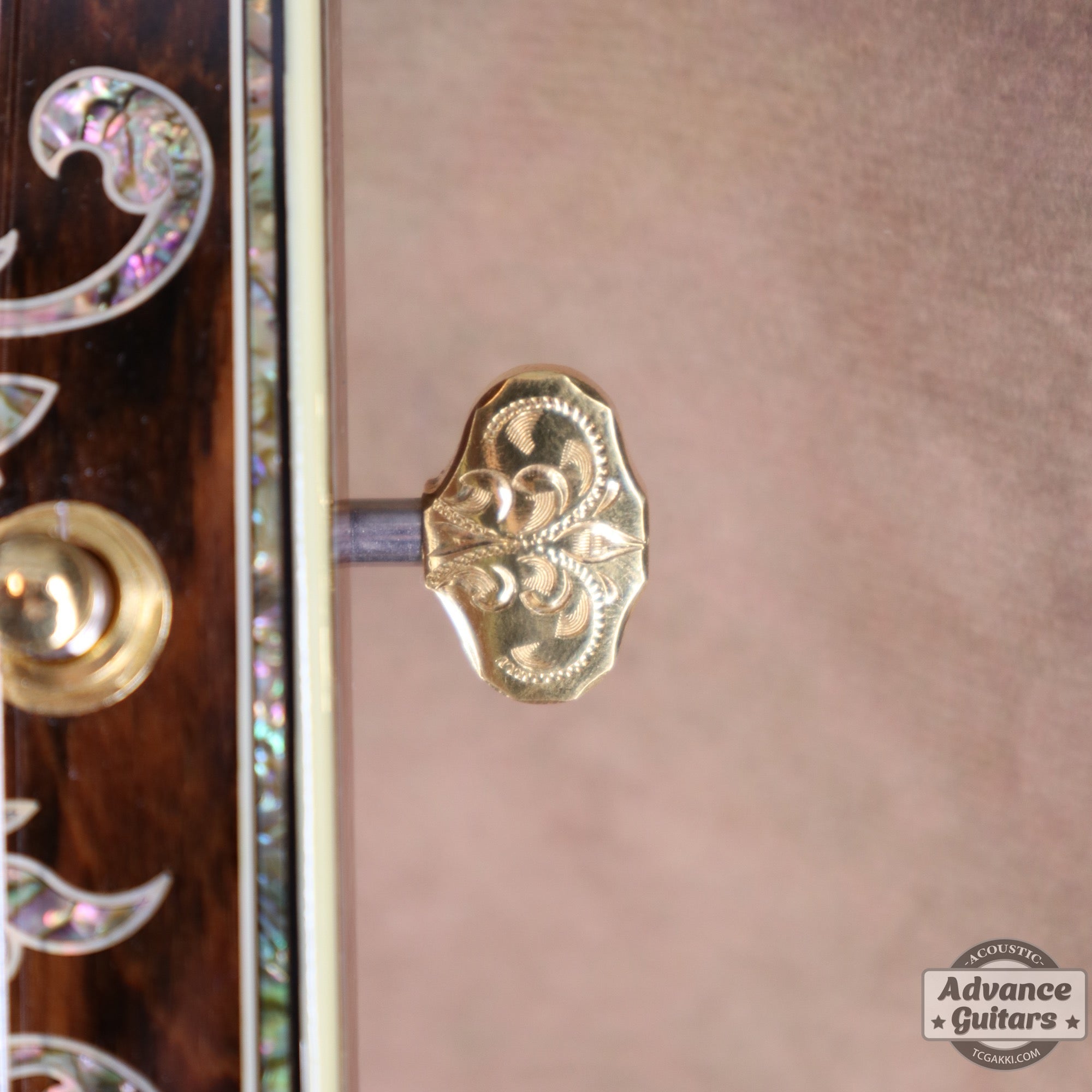 2002年製 D - 50 Deluxe - TC楽器 - TCGAKKI