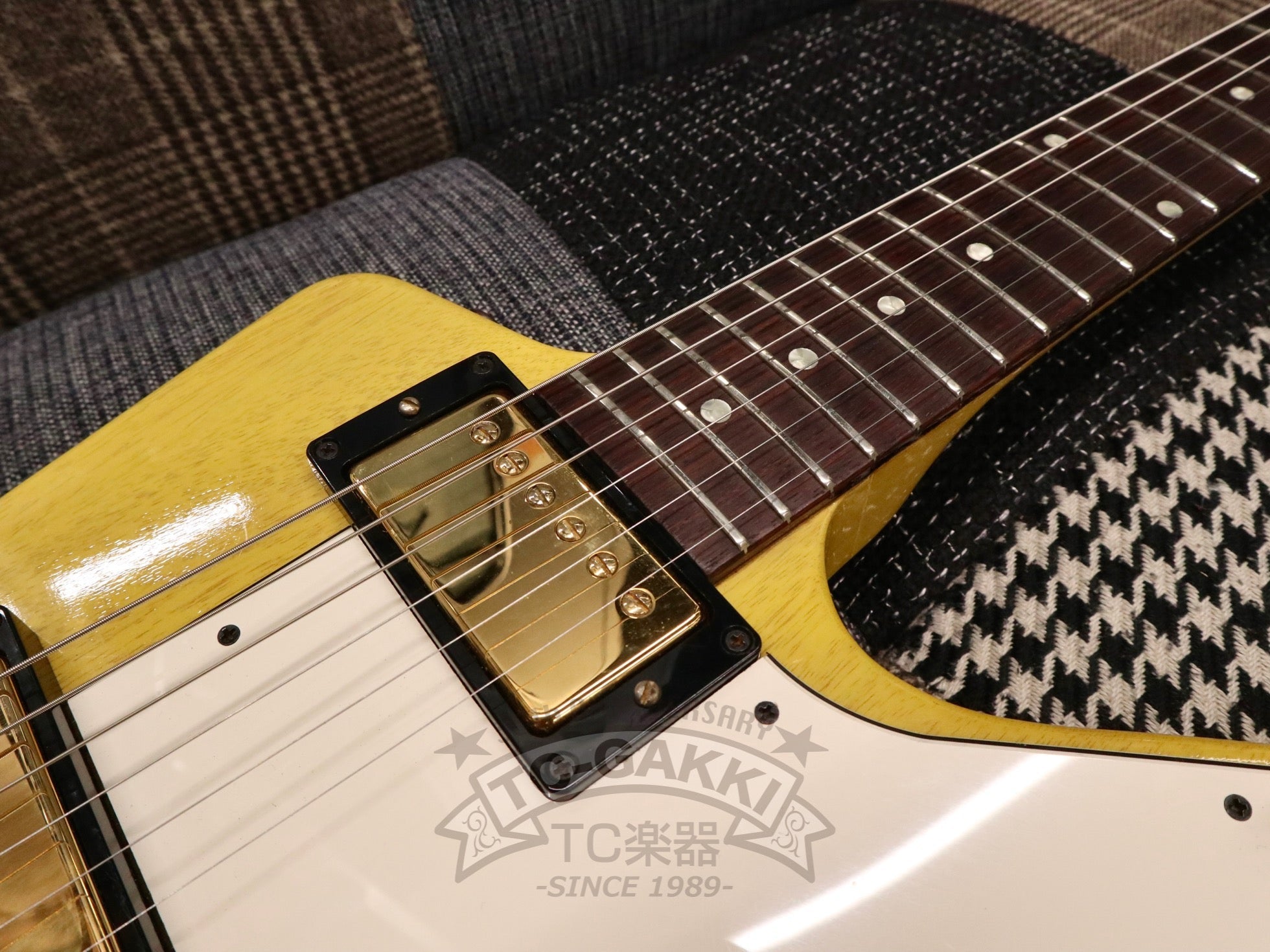 2003 Explorer Split Headstock - TC楽器 - TCGAKKI