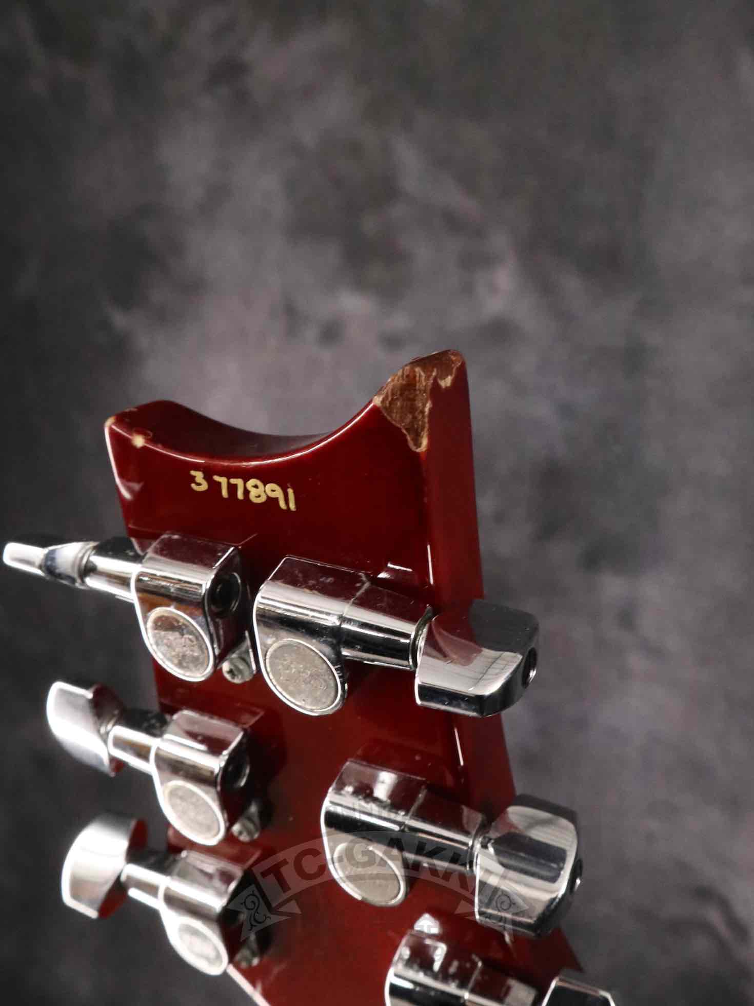 2003 Single Cut Trim - TC楽器 - TCGAKKI