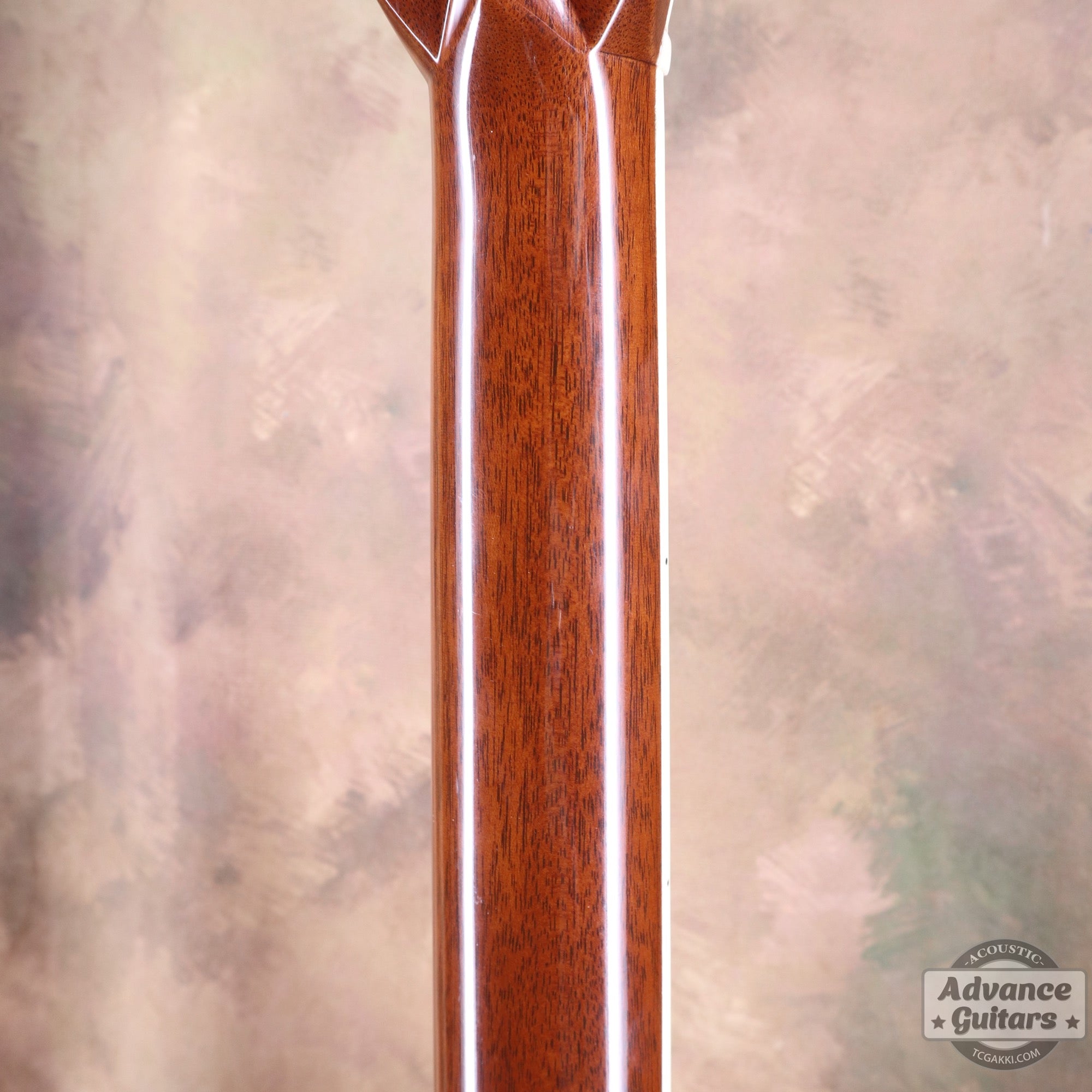 2004年製 D - 45 - TC楽器 - TCGAKKI