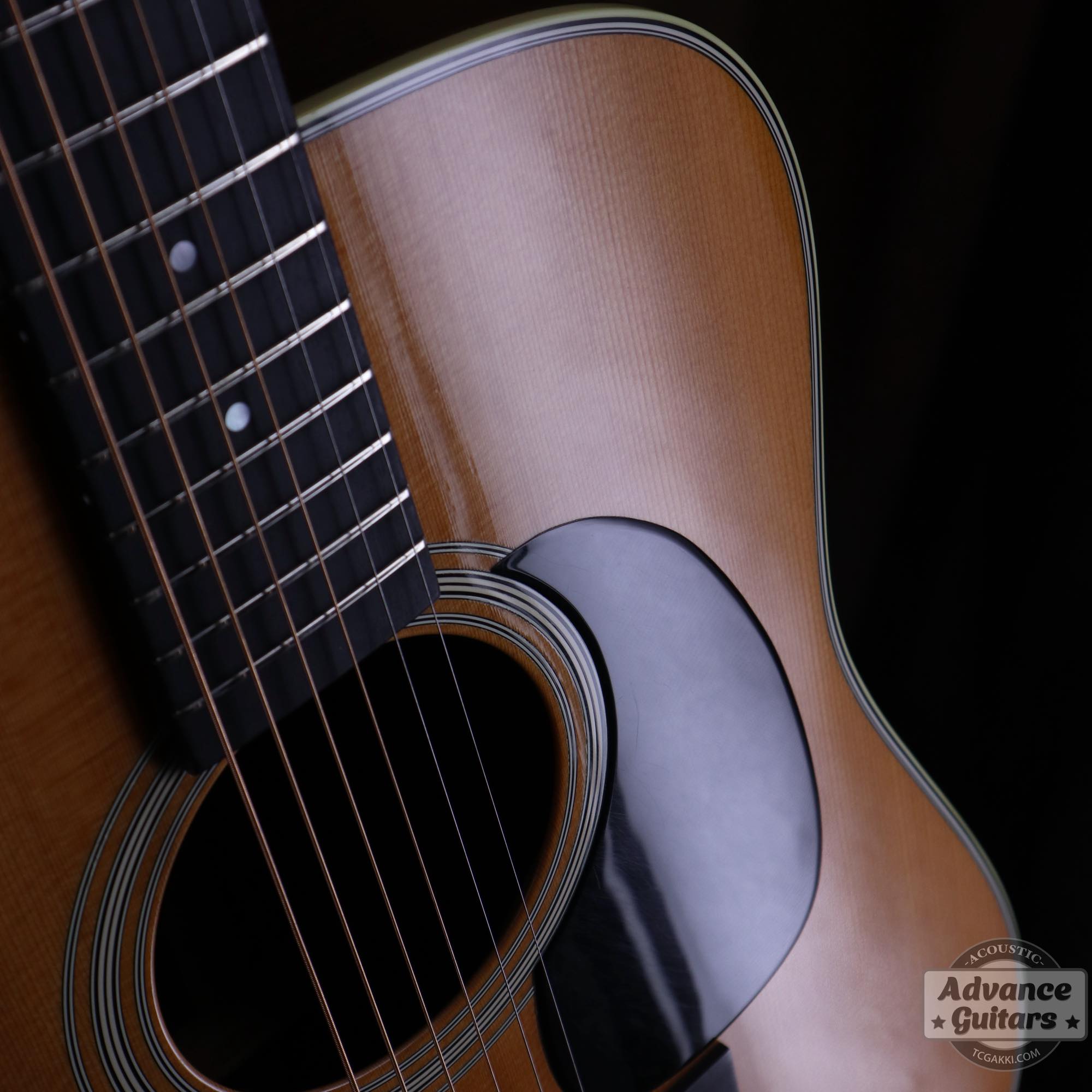 2006年製CTM D - 28 TC - TC楽器 - TCGAKKI