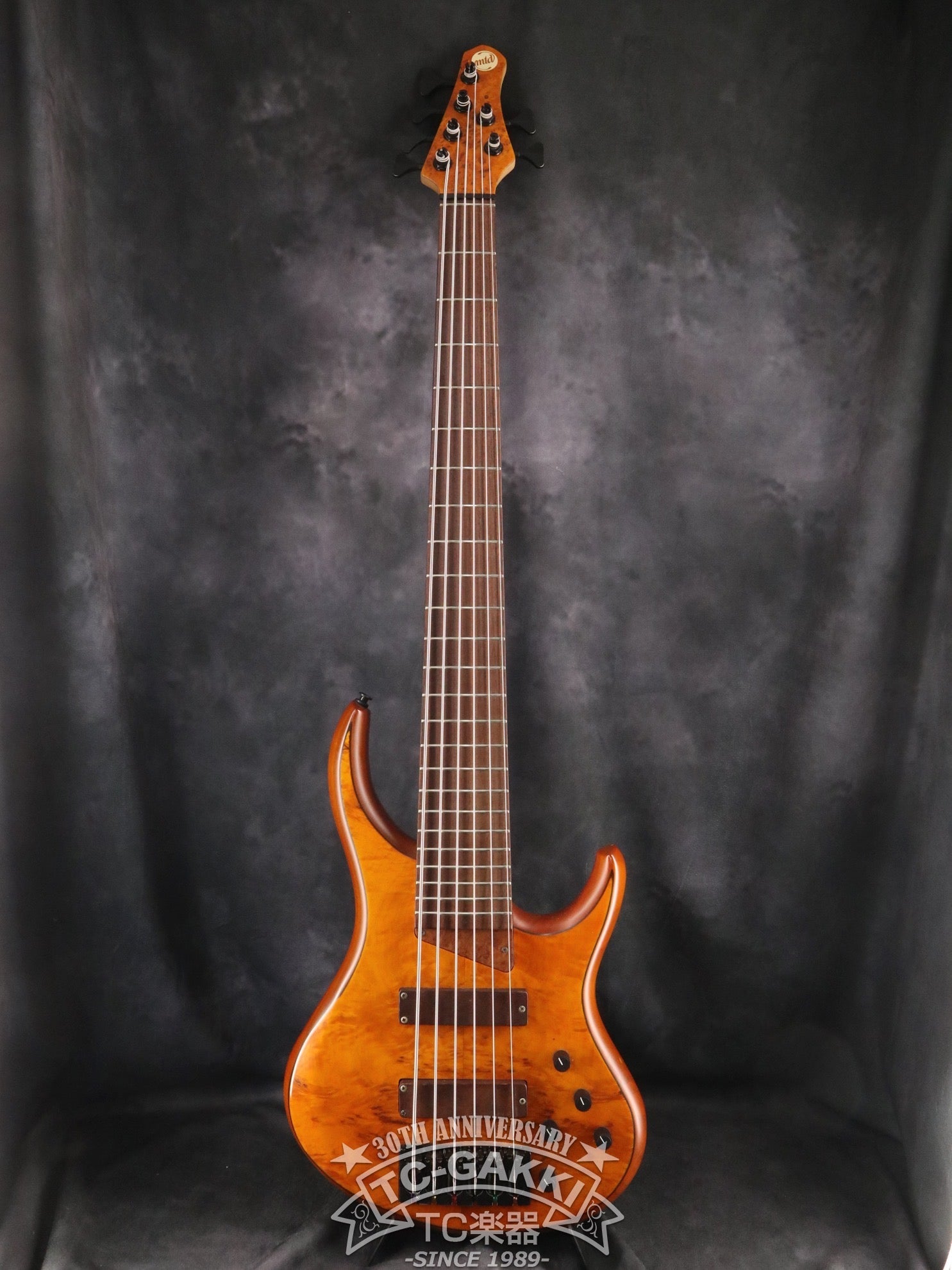 2007 Kingston Z6 - TC楽器 - TCGAKKI