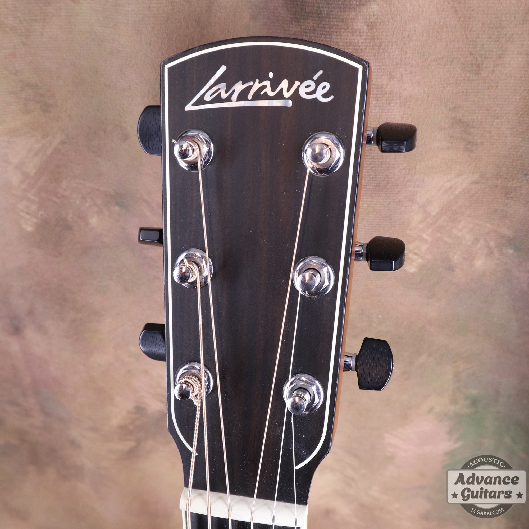 2007年製 P - 09 Flamed Maple - TC楽器 - TCGAKKI