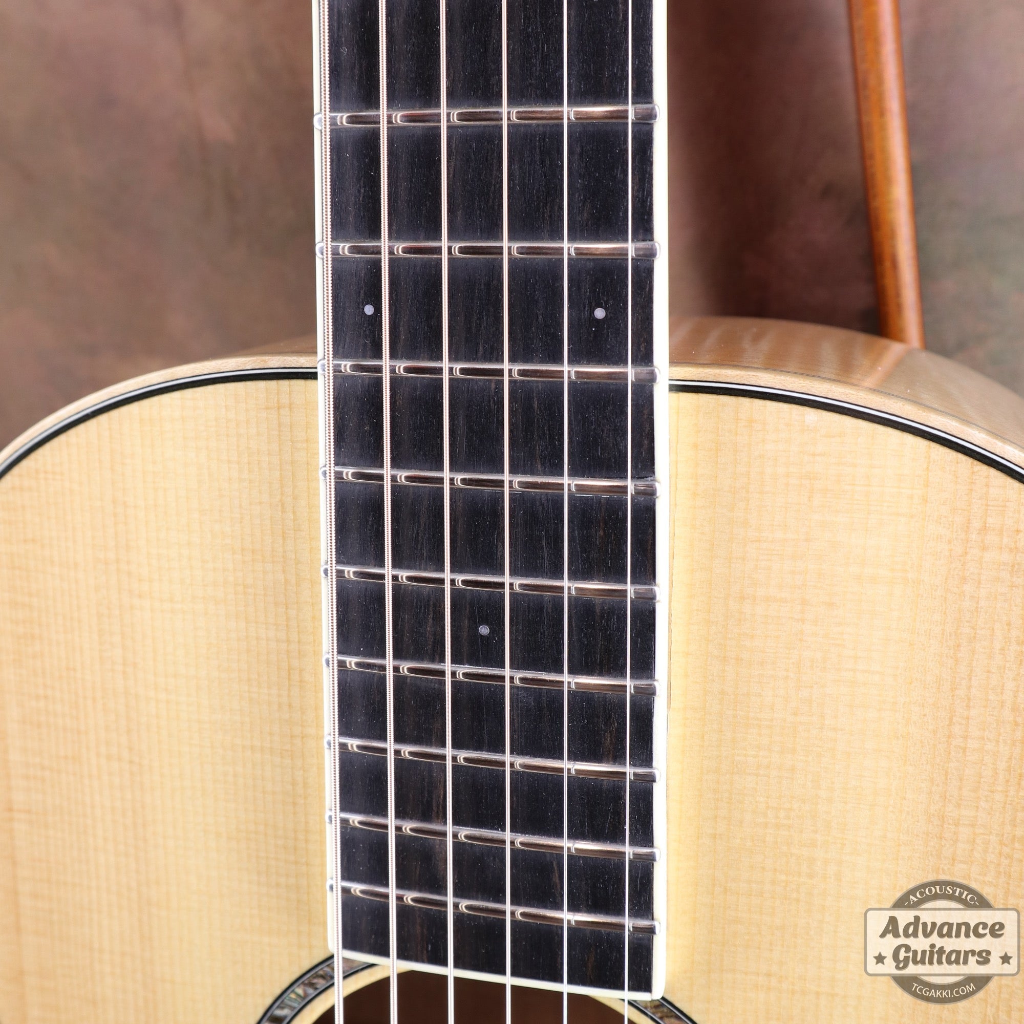 2007年製 P - 09 Flamed Maple - TC楽器 - TCGAKKI