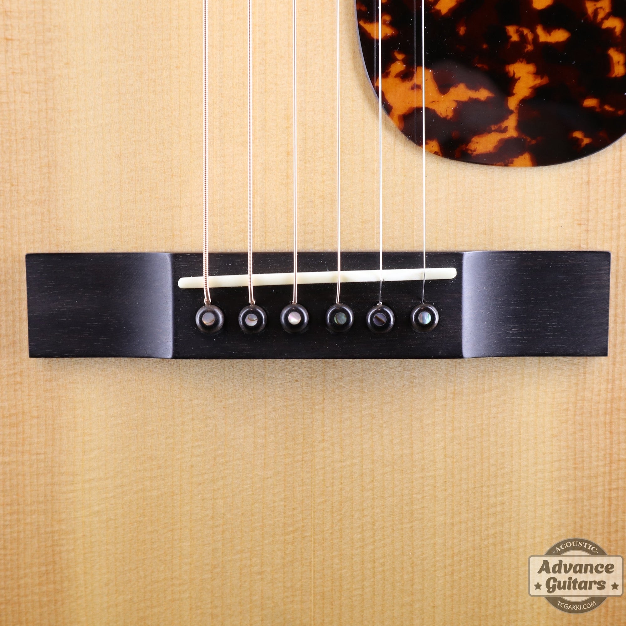 2007年製 P - 09 Flamed Maple - TC楽器 - TCGAKKI