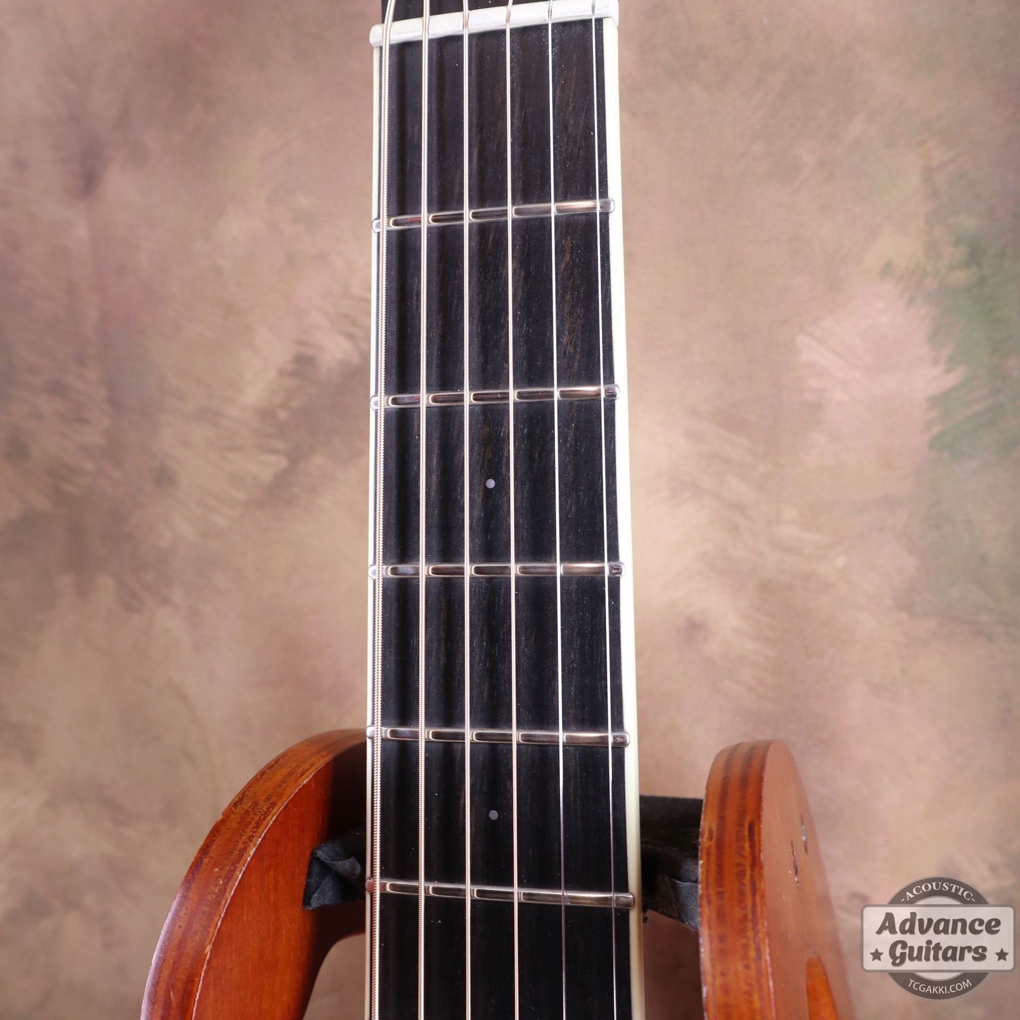 2007年製 P - 09 Flamed Maple - TC楽器 - TCGAKKI