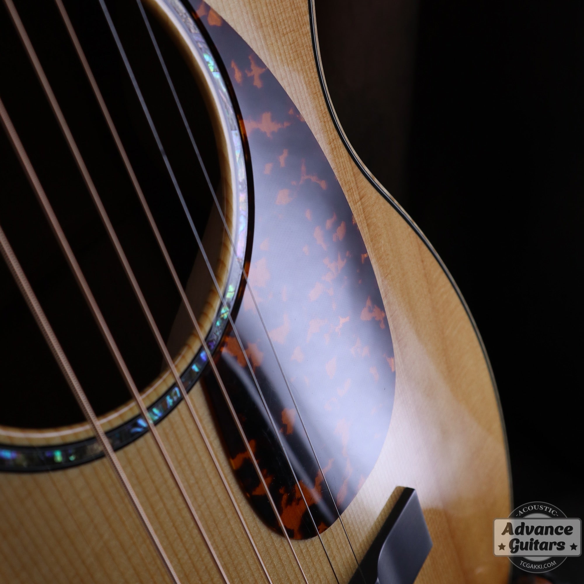 2007年製 P - 09 Flamed Maple - TC楽器 - TCGAKKI