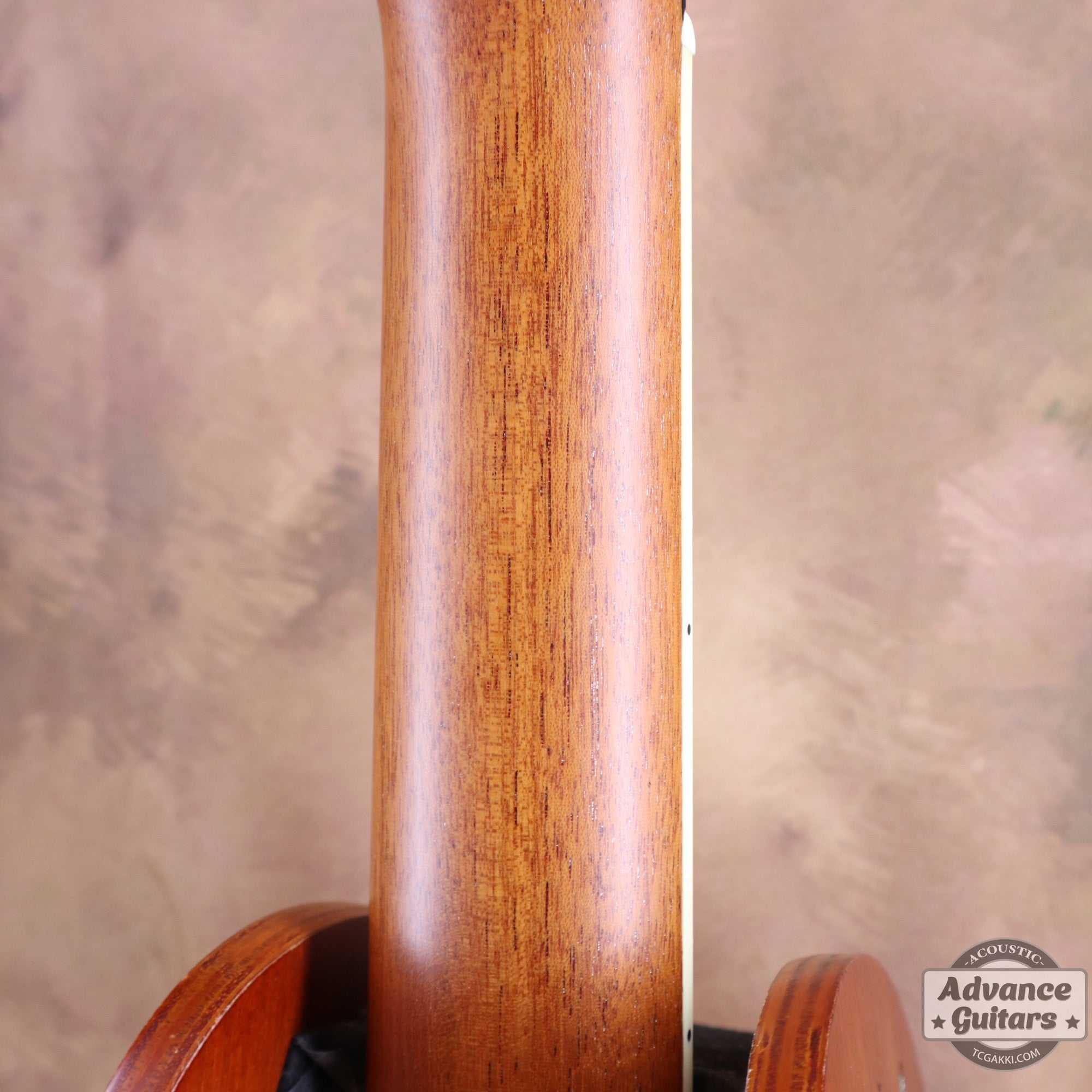 2007年製 P - 09 Flamed Maple - TC楽器 - TCGAKKI