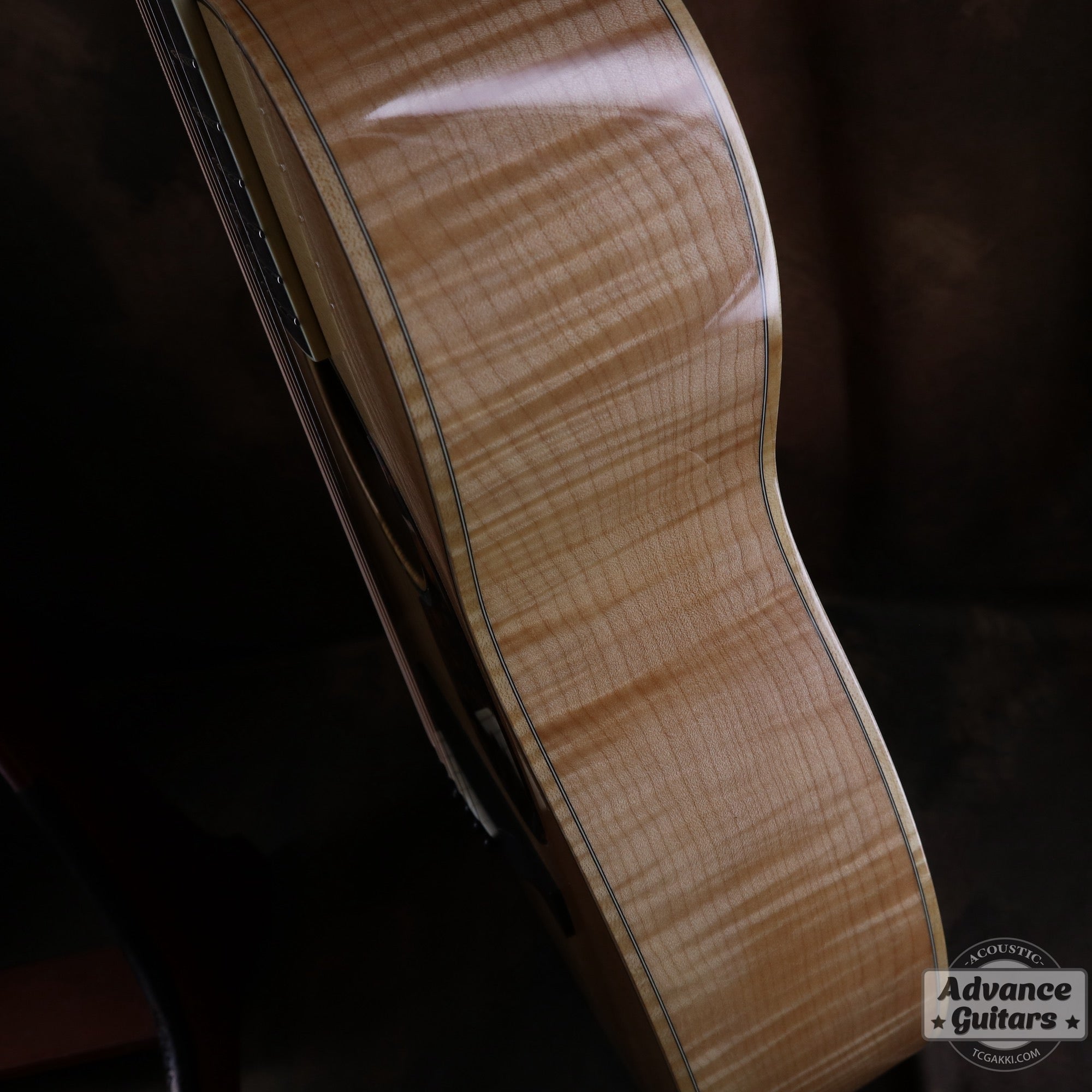 2007年製 P - 09 Flamed Maple - TC楽器 - TCGAKKI