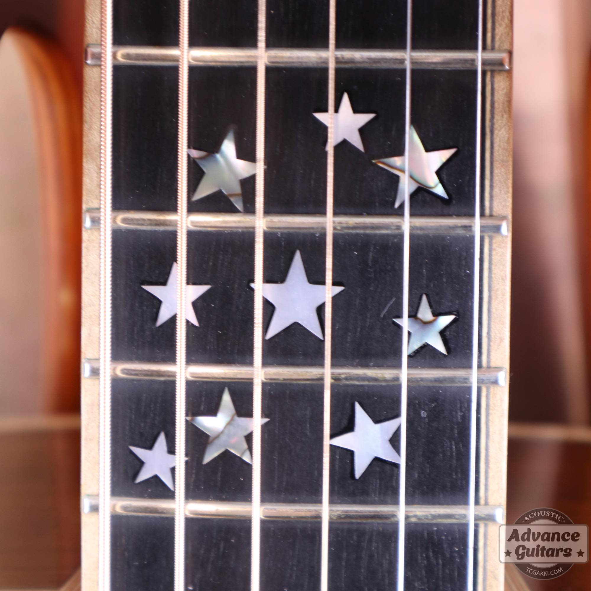 2007年製 TC - M7 - TC楽器 - TCGAKKI