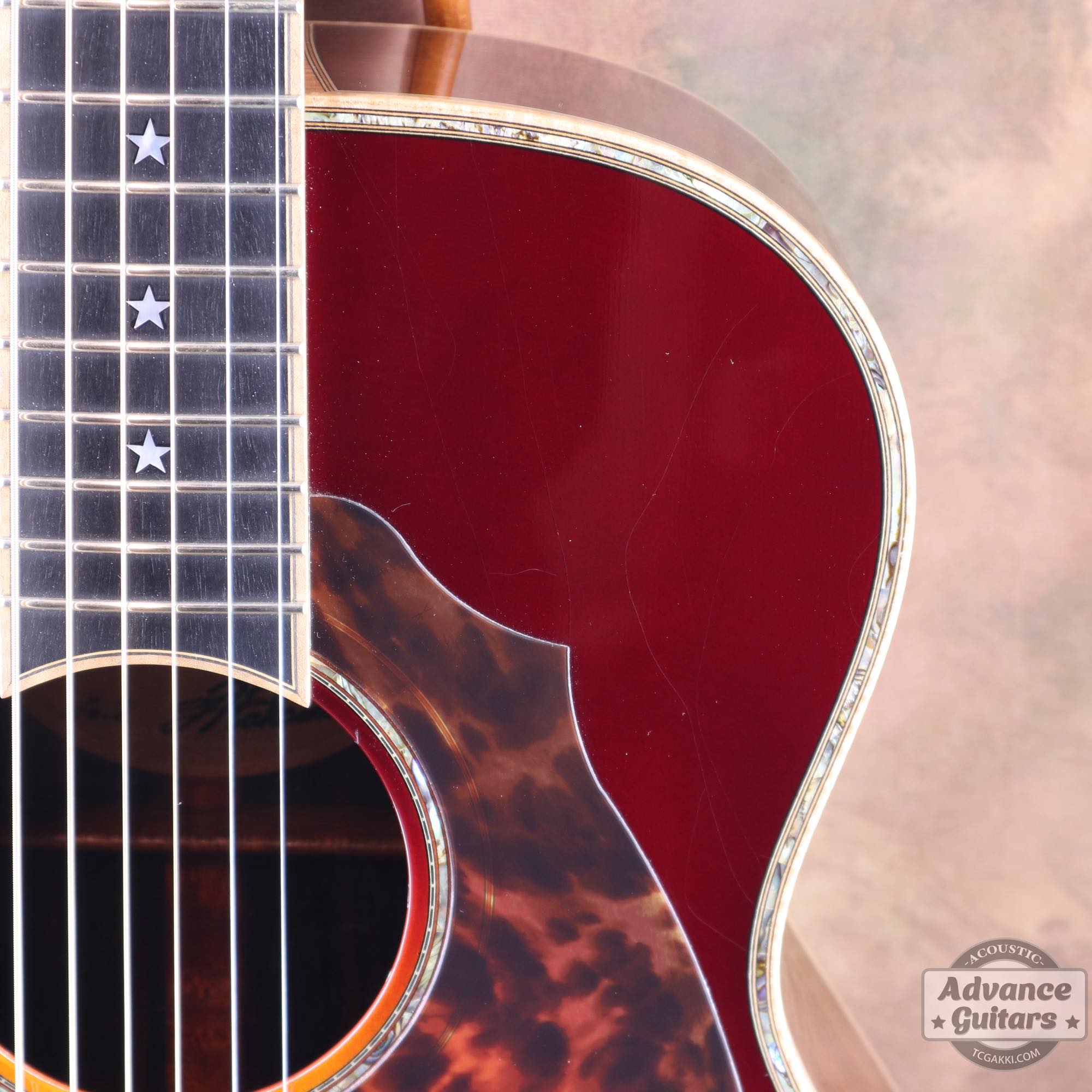 2007年製 TC - M7 - TC楽器 - TCGAKKI