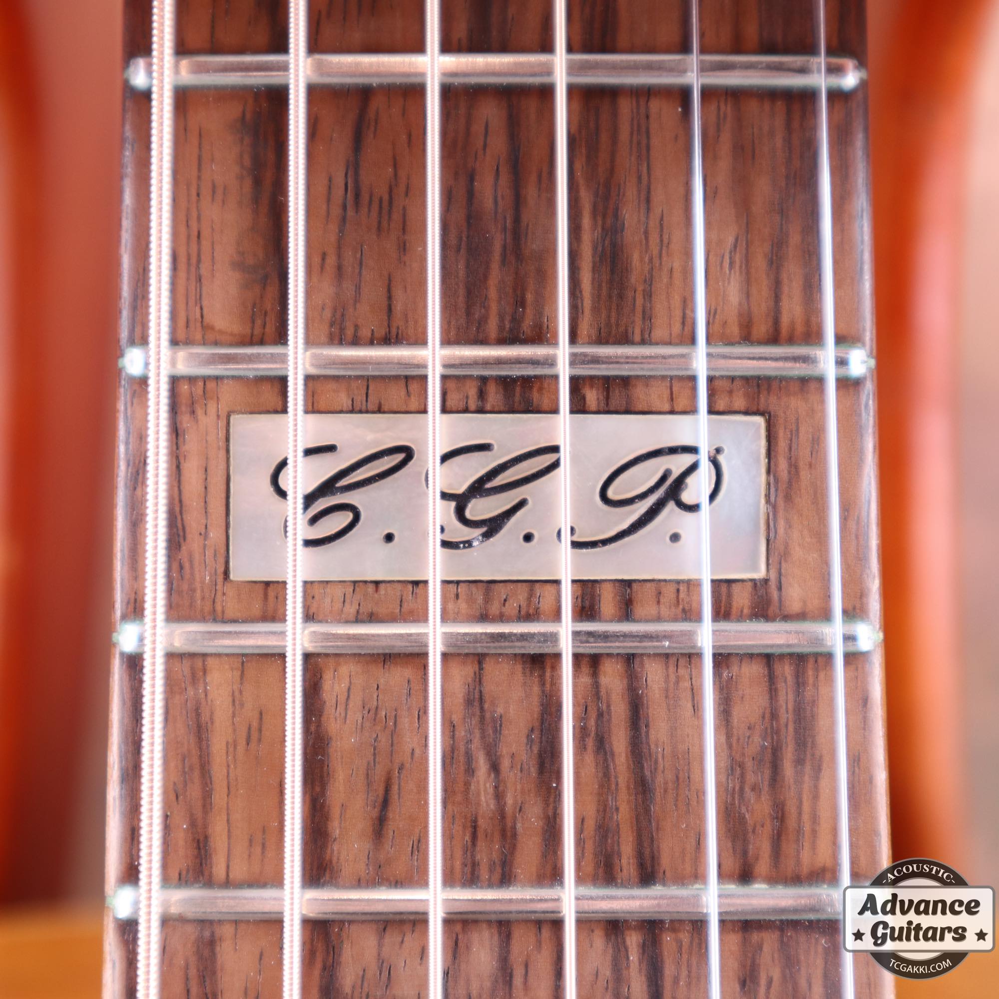 2010年製 EBG808 TE “TOMMY EMMANUEL” - TC楽器 - TCGAKKI