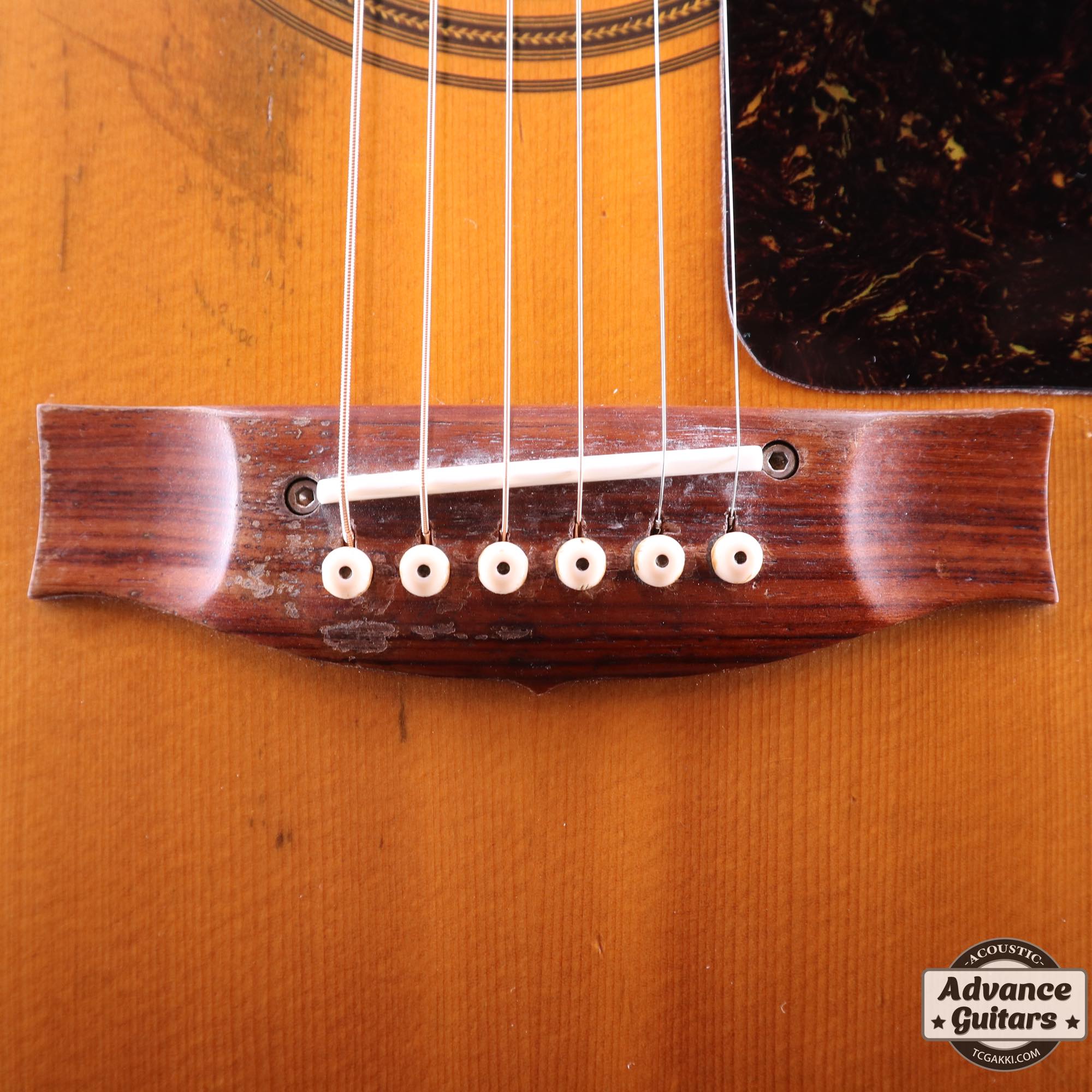 2010年製 EBG808 TE “TOMMY EMMANUEL” - TC楽器 - TCGAKKI