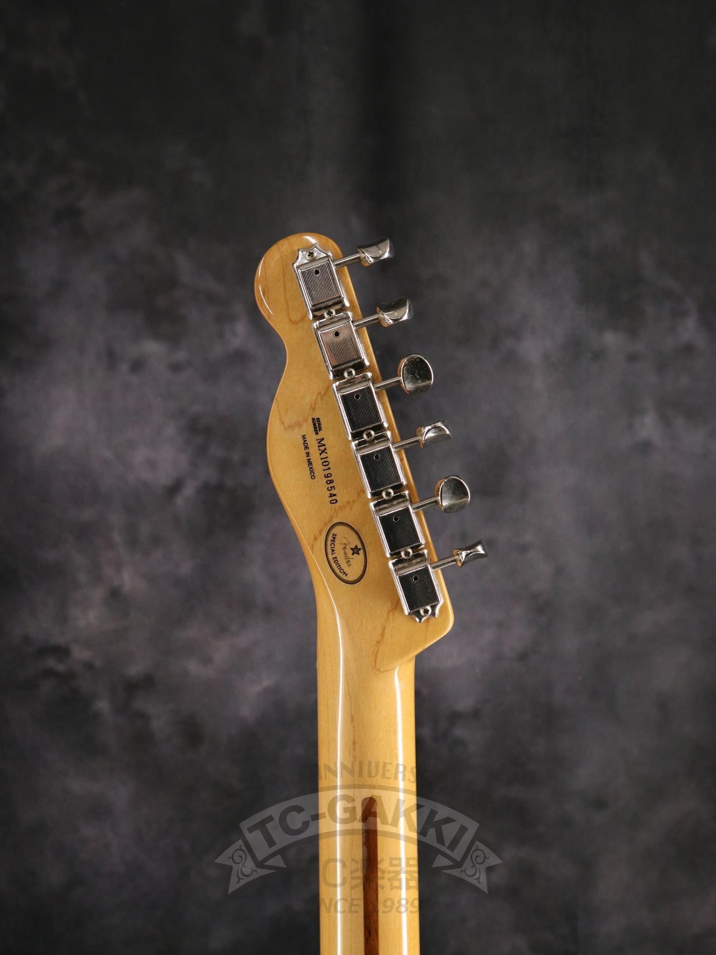 2010 Special Edition Telecaster Mod.