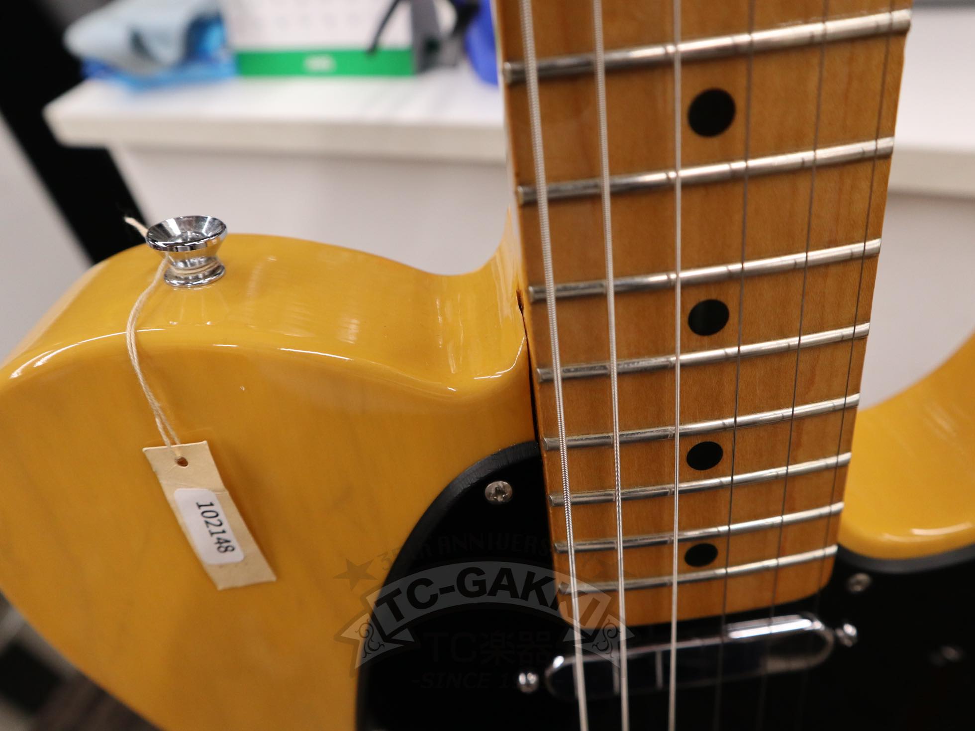 2010 Special Edition Telecaster Mod.