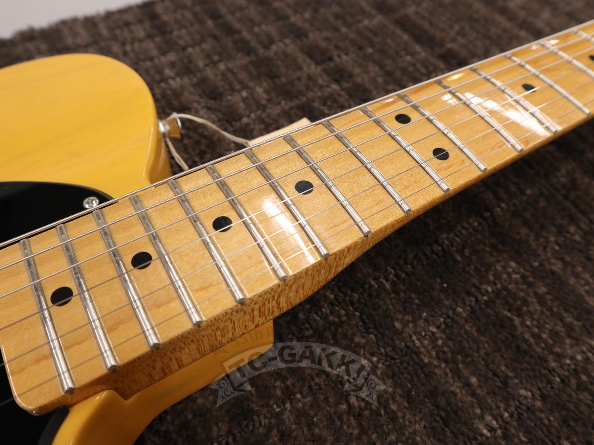 2010 Special Edition Telecaster Mod.