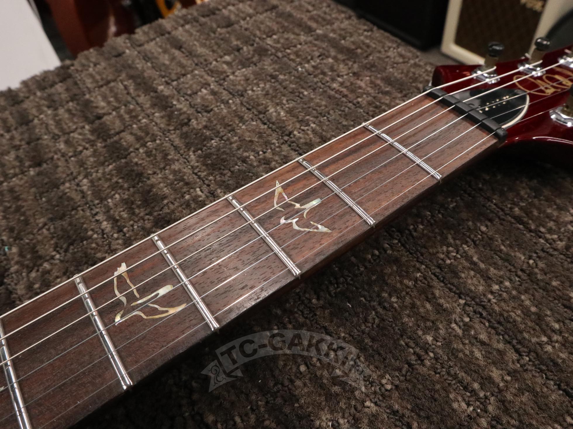 2011 Custom 24 - TC楽器 - TCGAKKI