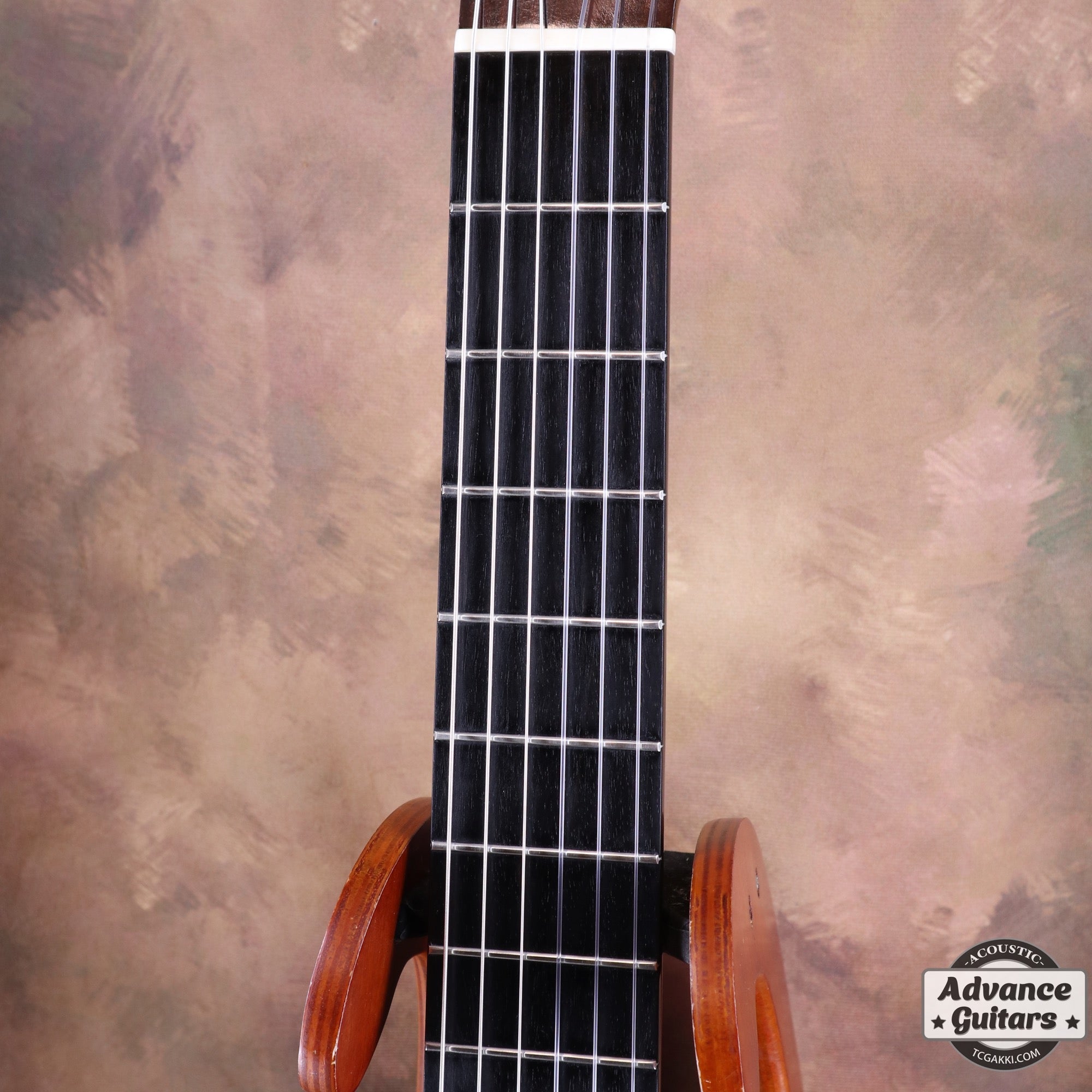 2011年製 Especial - TC楽器 - TCGAKKI