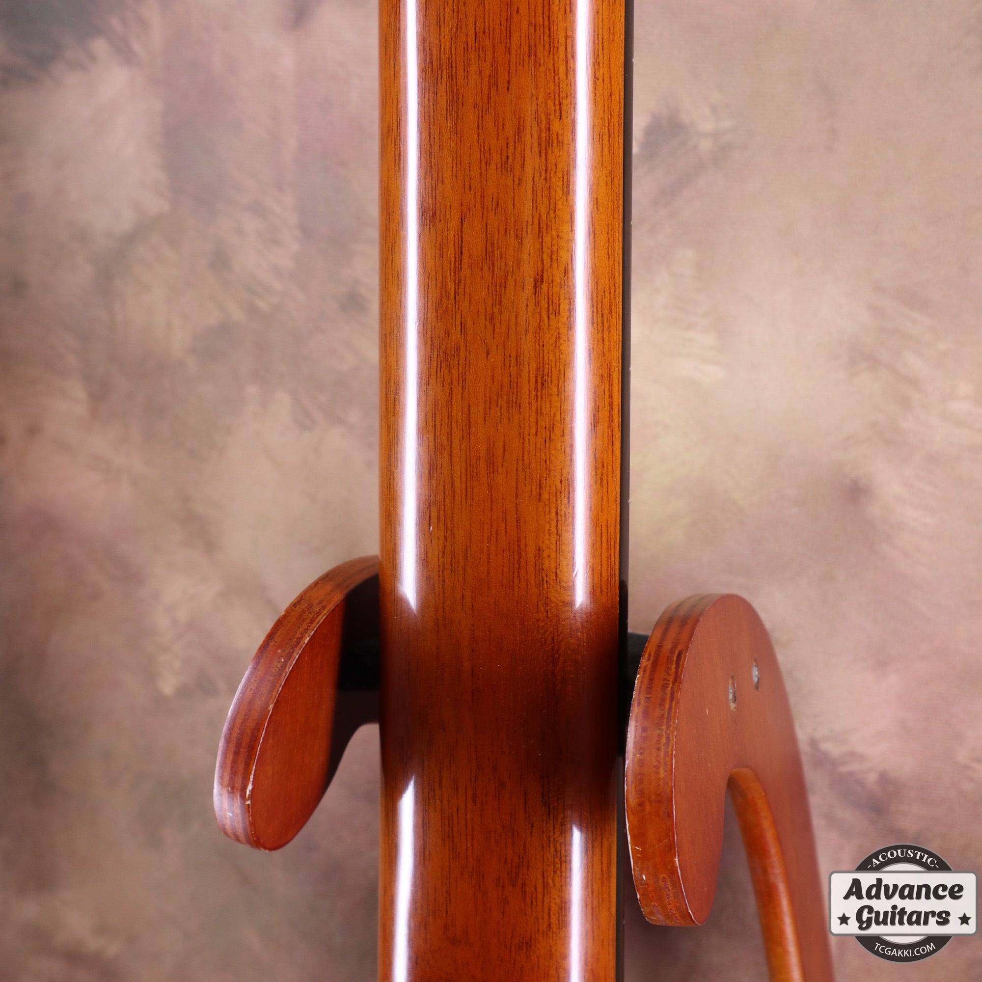 2011年製 Especial - TC楽器 - TCGAKKI