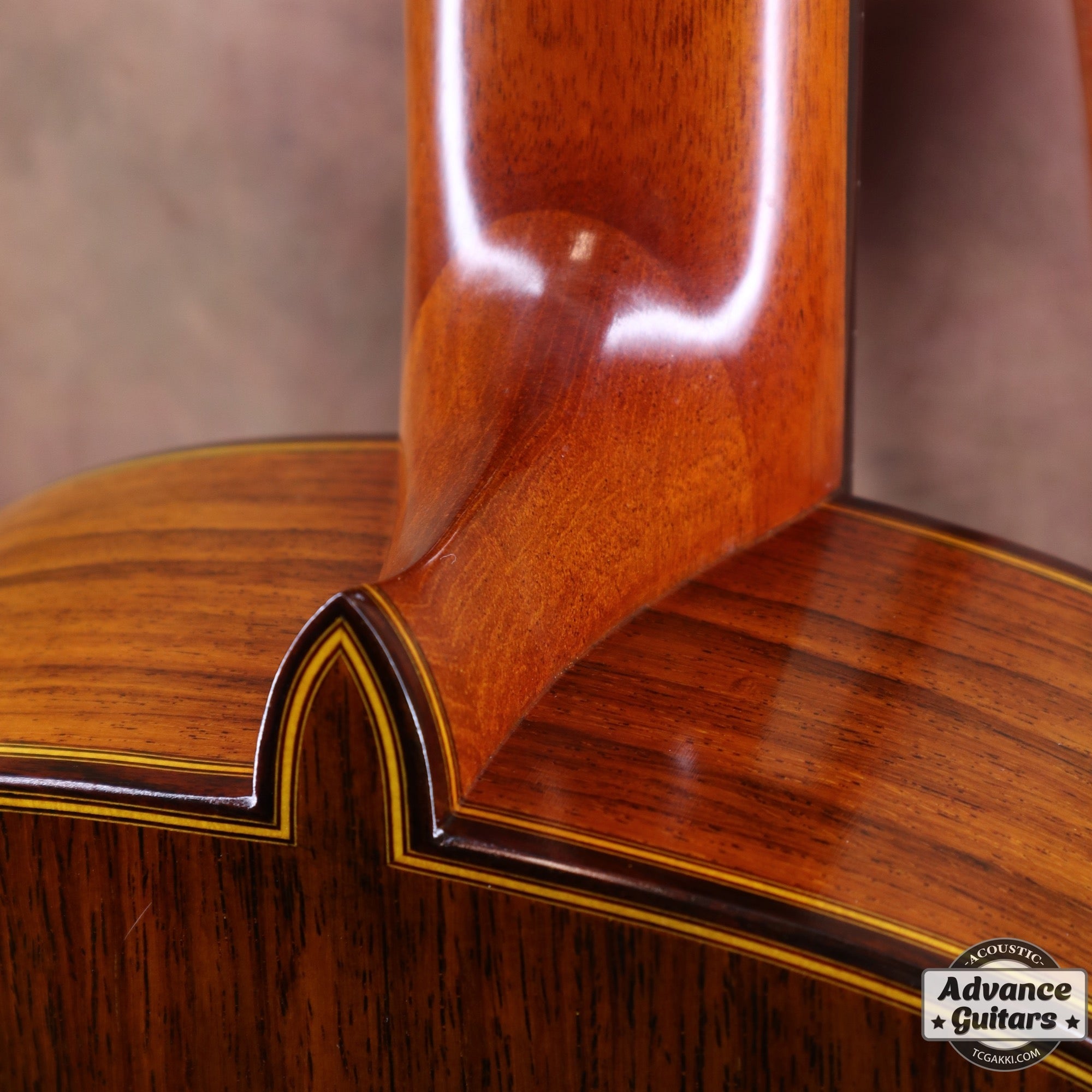 2011年製 Especial - TC楽器 - TCGAKKI