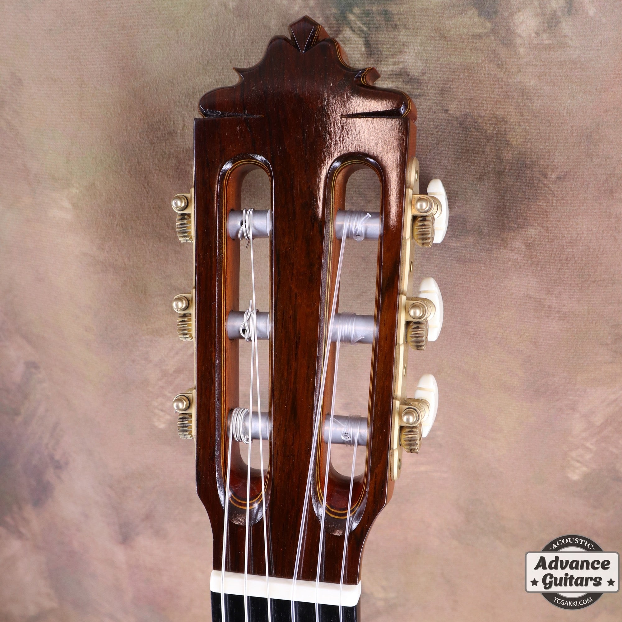 2011年製 Especial - TC楽器 - TCGAKKI