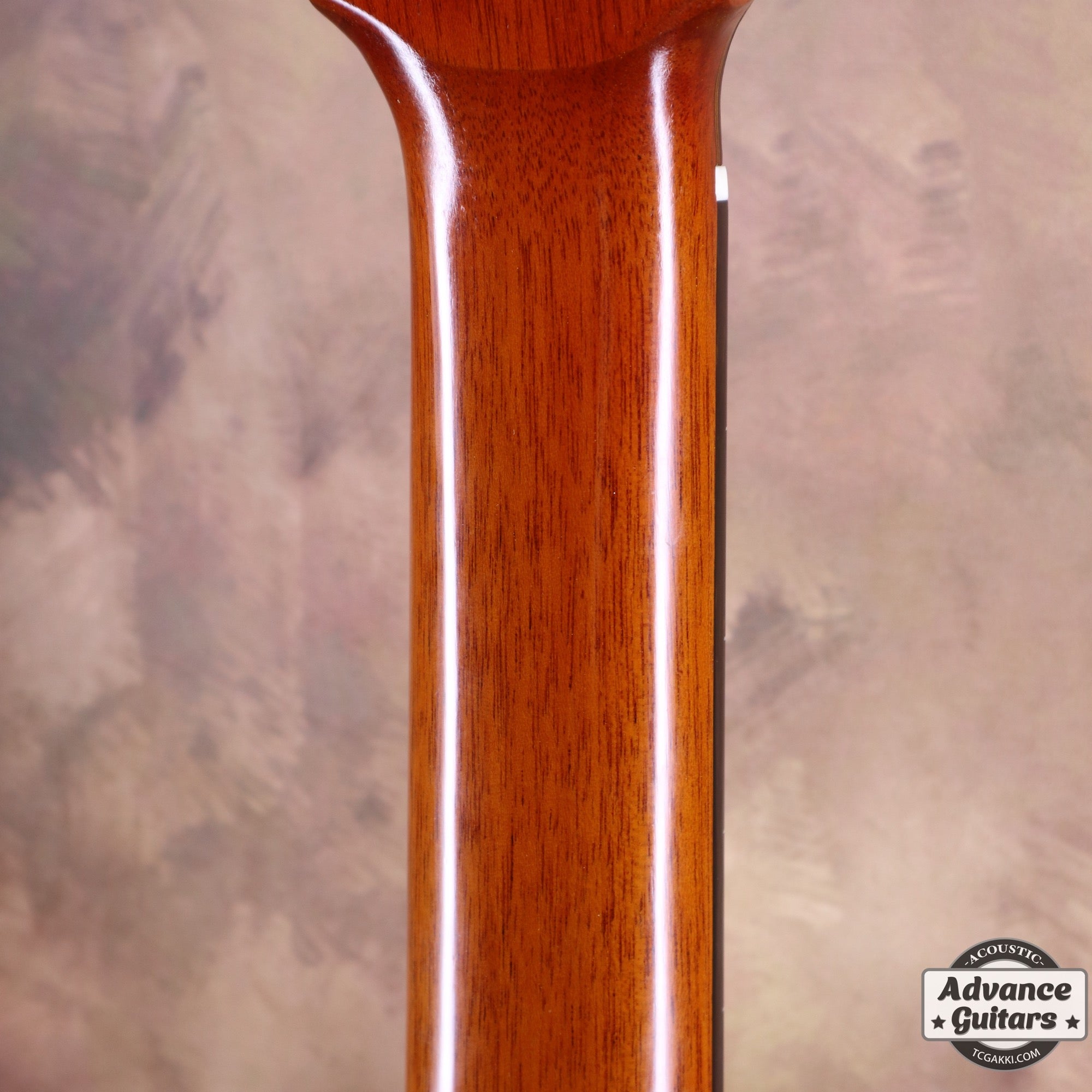 2011年製 Especial - TC楽器 - TCGAKKI