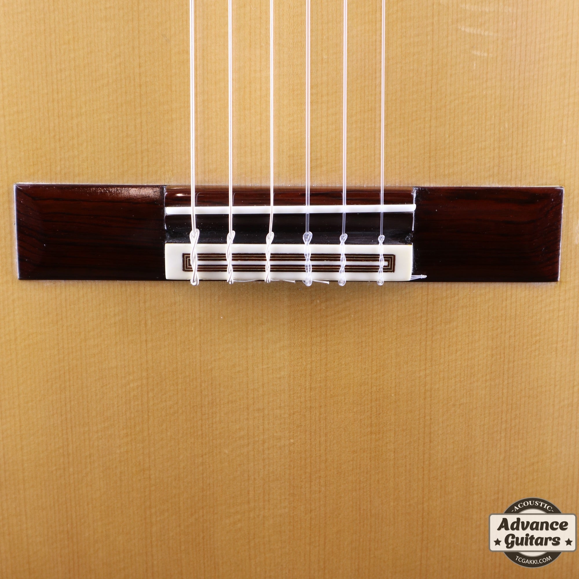 2011年製 Especial - TC楽器 - TCGAKKI