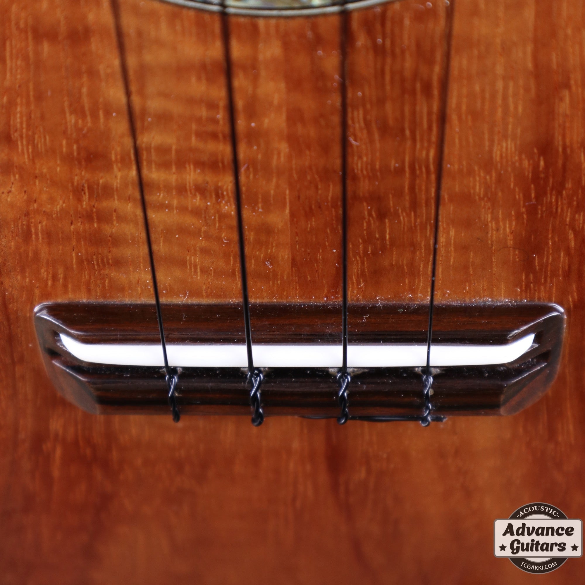 2011年製 KC - 03UK - TC楽器 - TCGAKKI