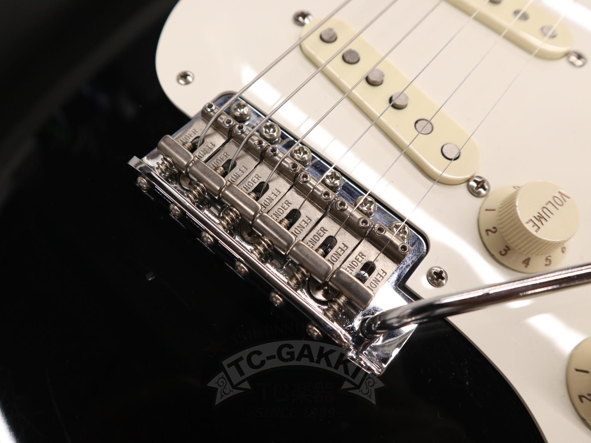 2012 Eric Johnson Stratocaster - TC楽器 - TCGAKKI