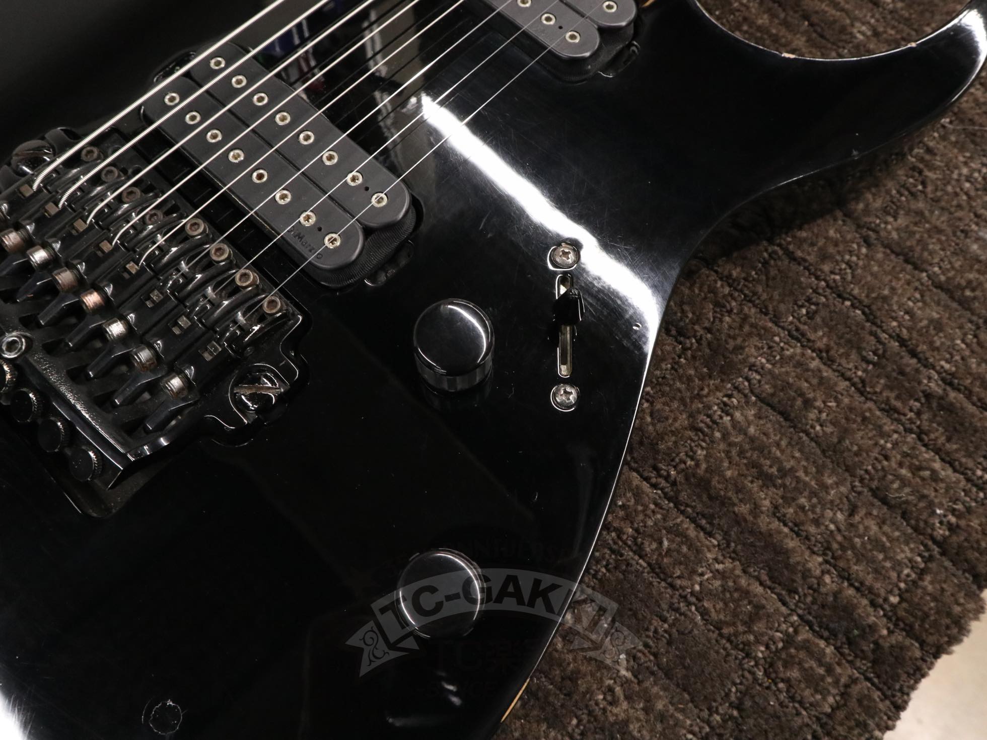 2012 RG2228A Prestige - TC楽器 - TCGAKKI