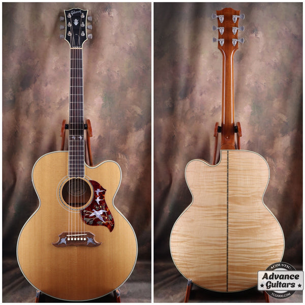 アコギ エレアコ エレキ ピックアップ ライブ コンサート ピックアップ搭載・エレアコ