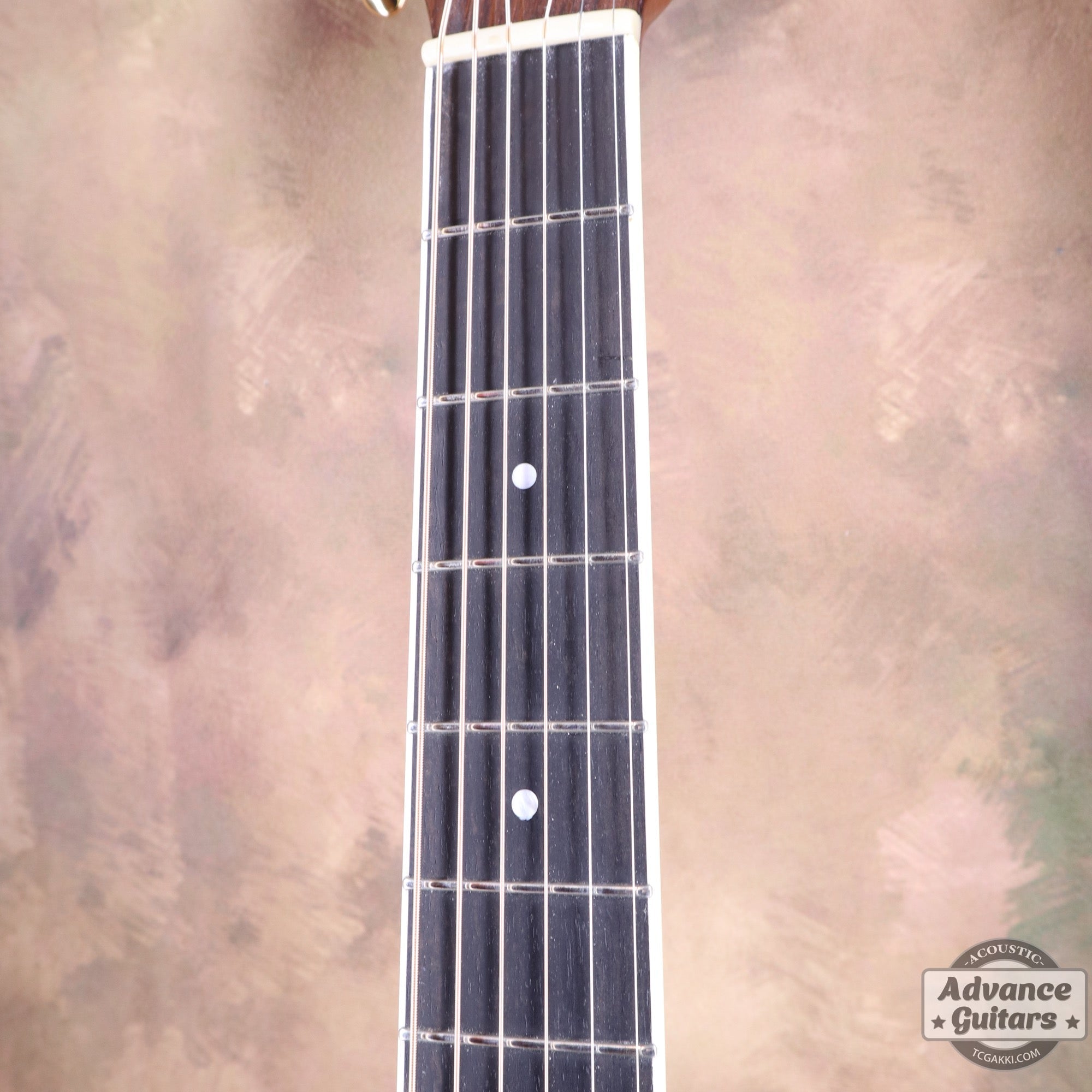 2012年製M - 36 - TC楽器 - TCGAKKI