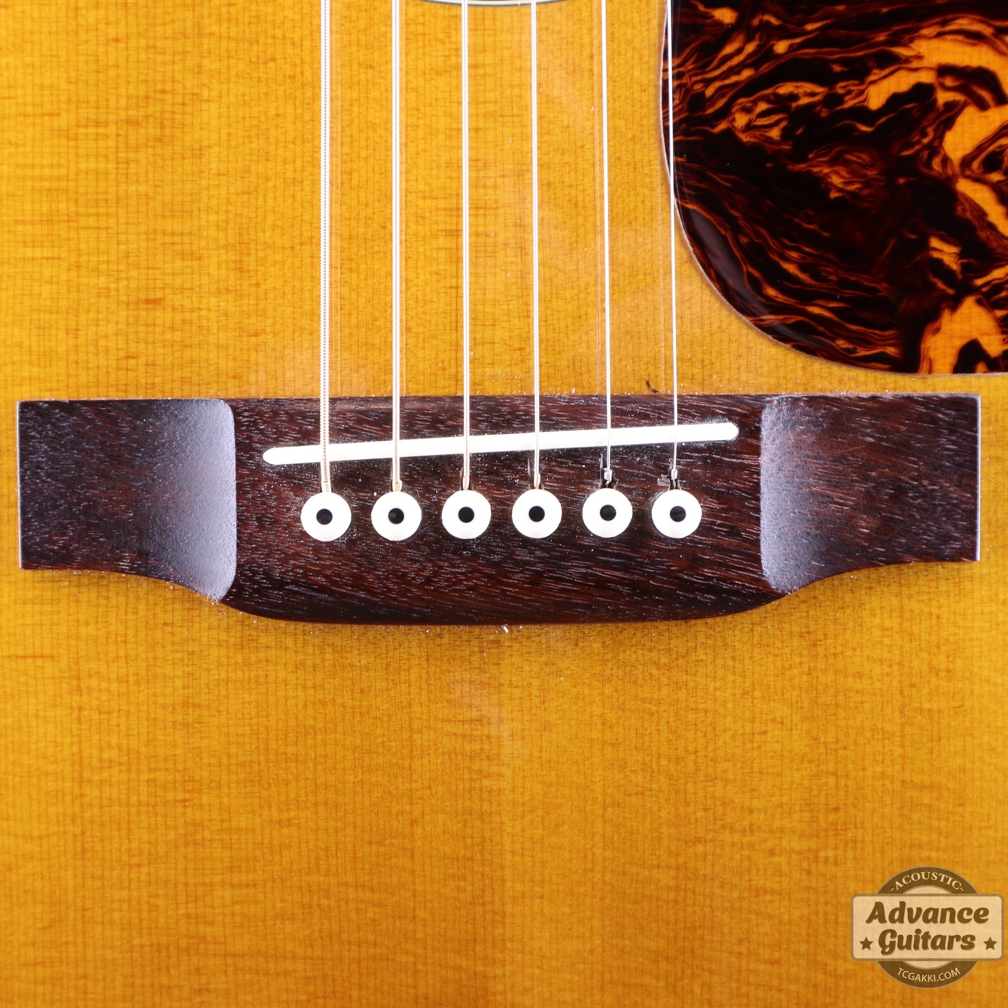 2012年製M - 36 - TC楽器 - TCGAKKI