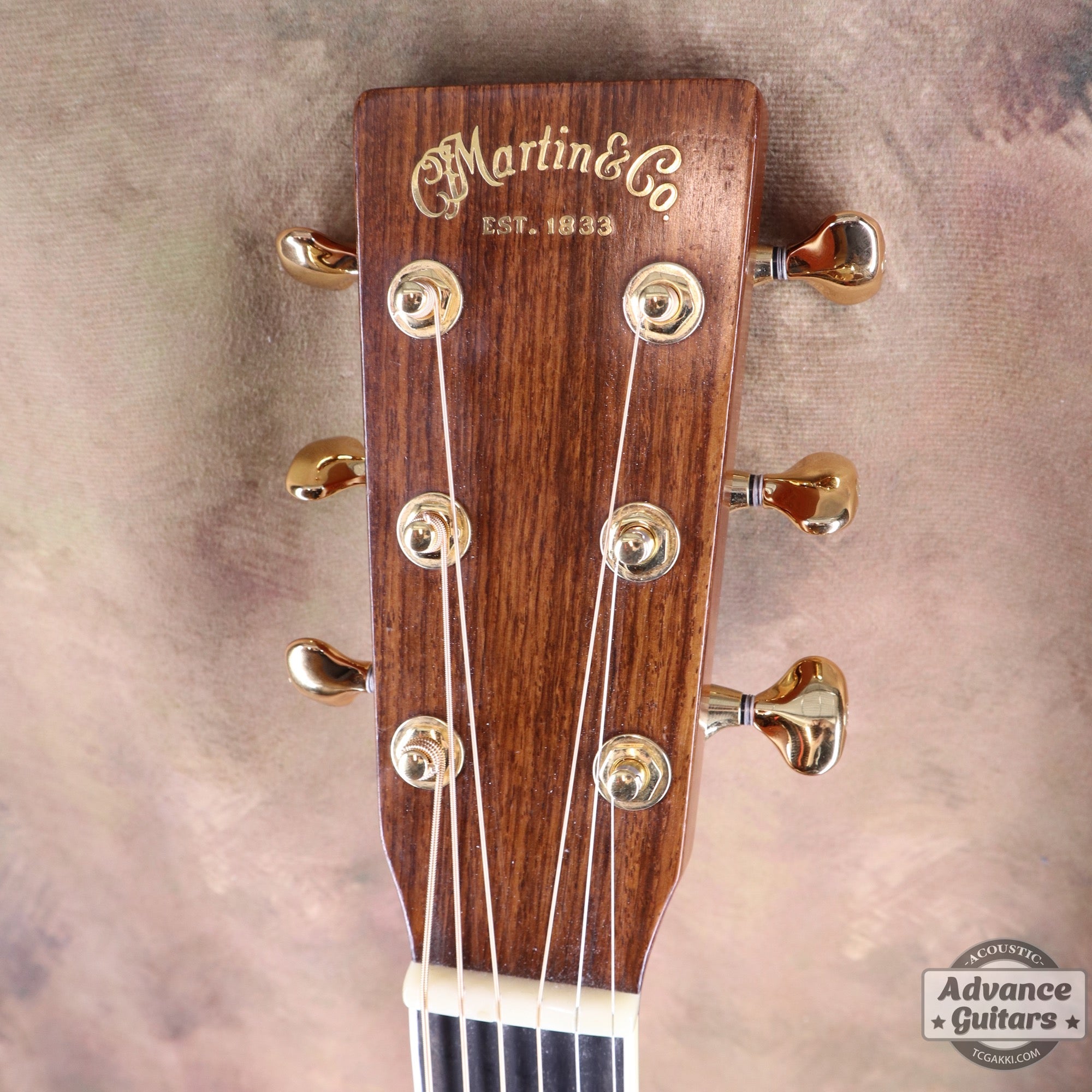 2012年製M - 36 - TC楽器 - TCGAKKI