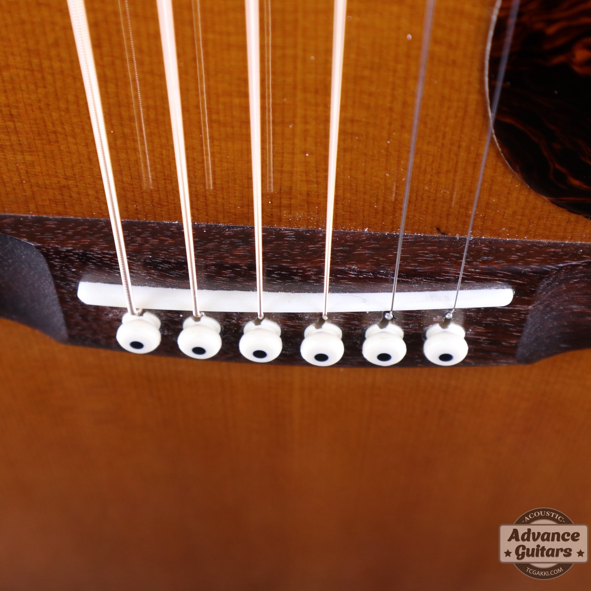 2012年製M - 36 - TC楽器 - TCGAKKI