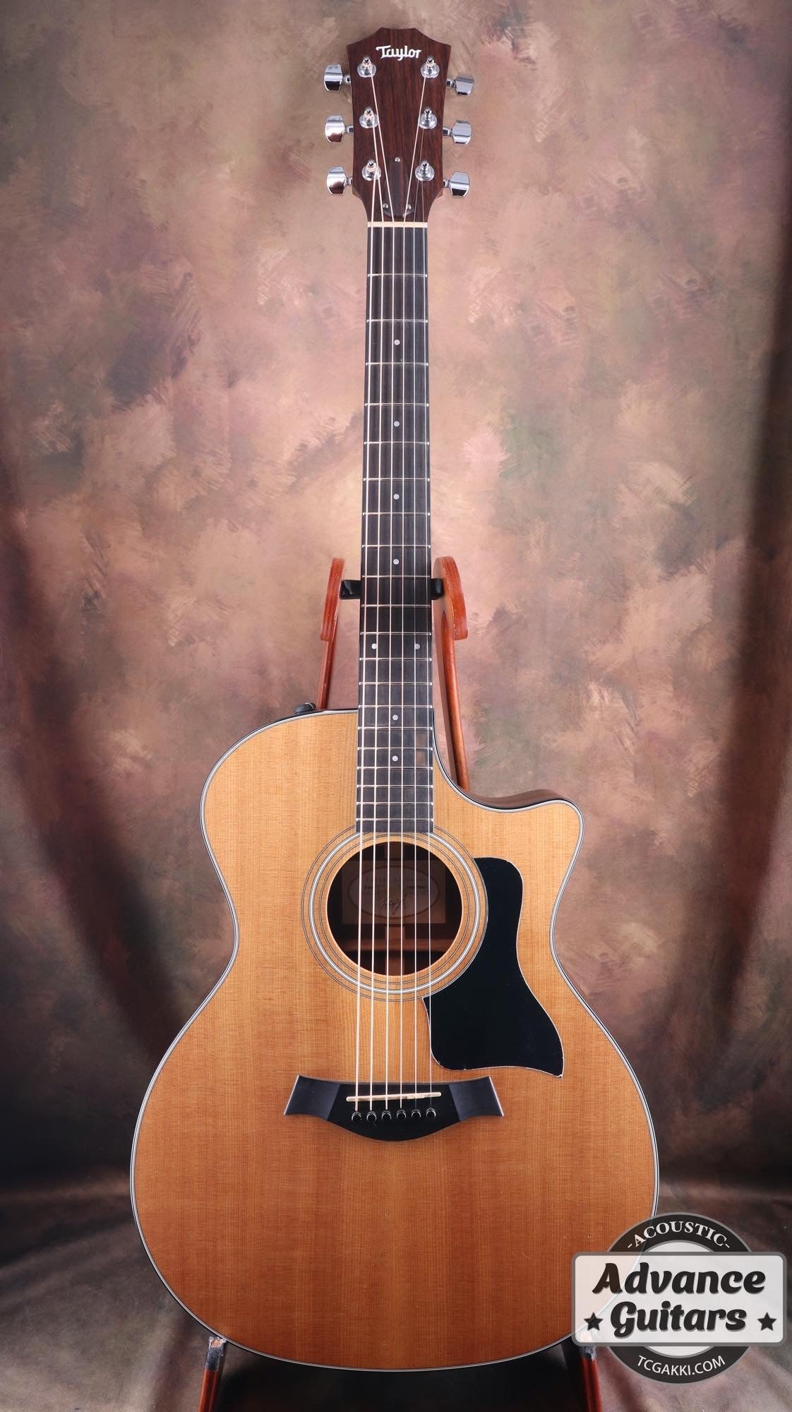 Taylor 314ce ES1